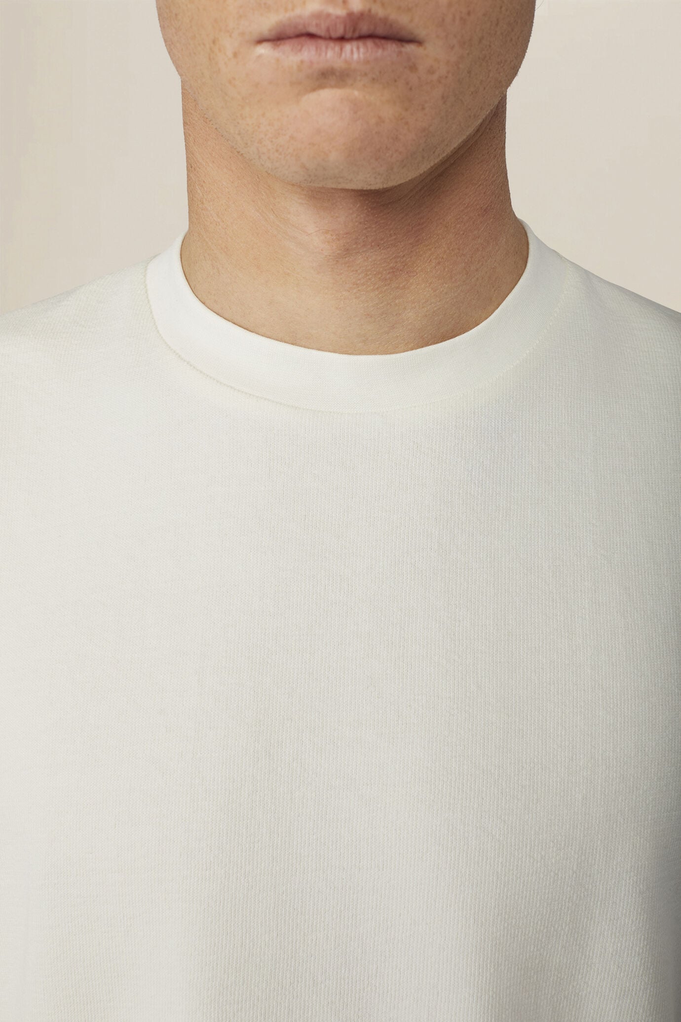 Men's T-shirt in 100% organic cotton, comfort fit