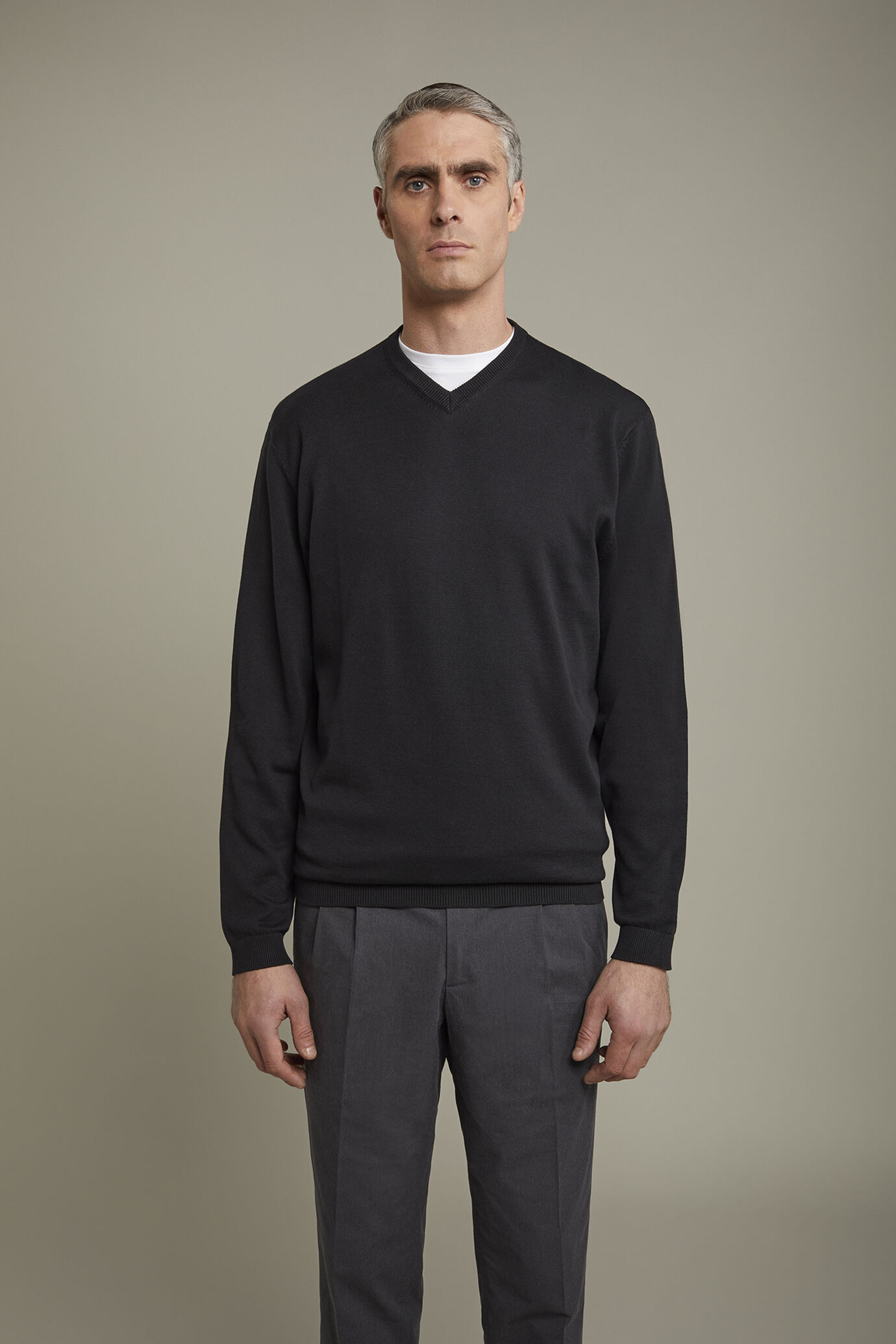 Herren-Pullover mit V-Ausschnitt aus 100 % Baumwolle in normaler Passform image number 2