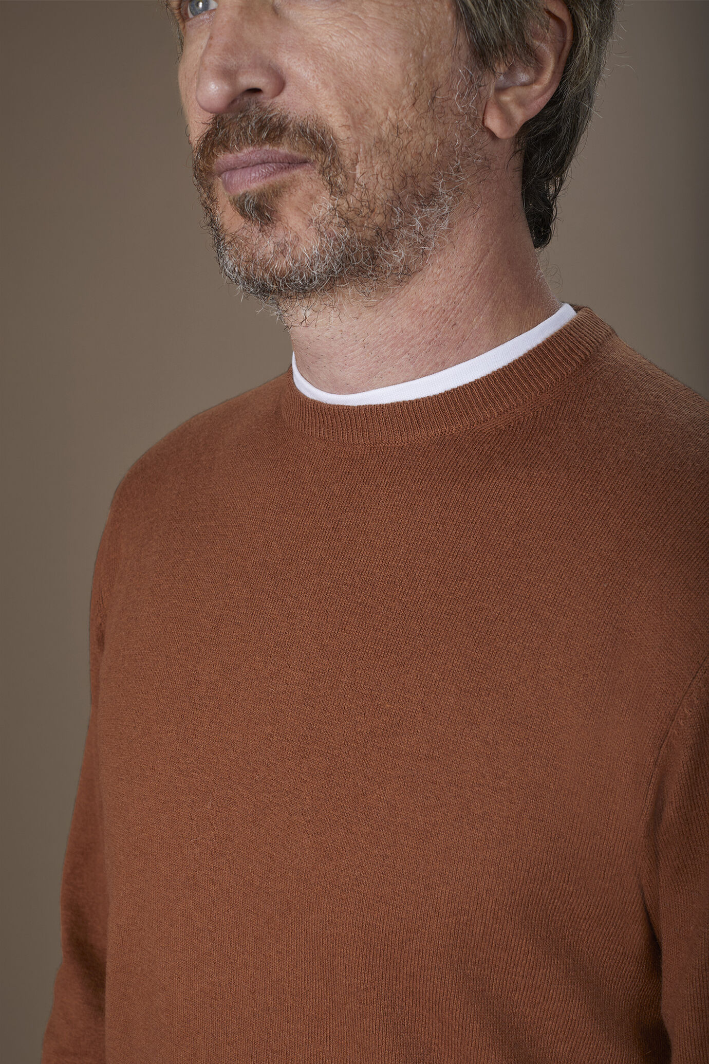 Herren-Pullover mit Rundhalsausschnitt aus Baumwolle in normaler Passform image number 2