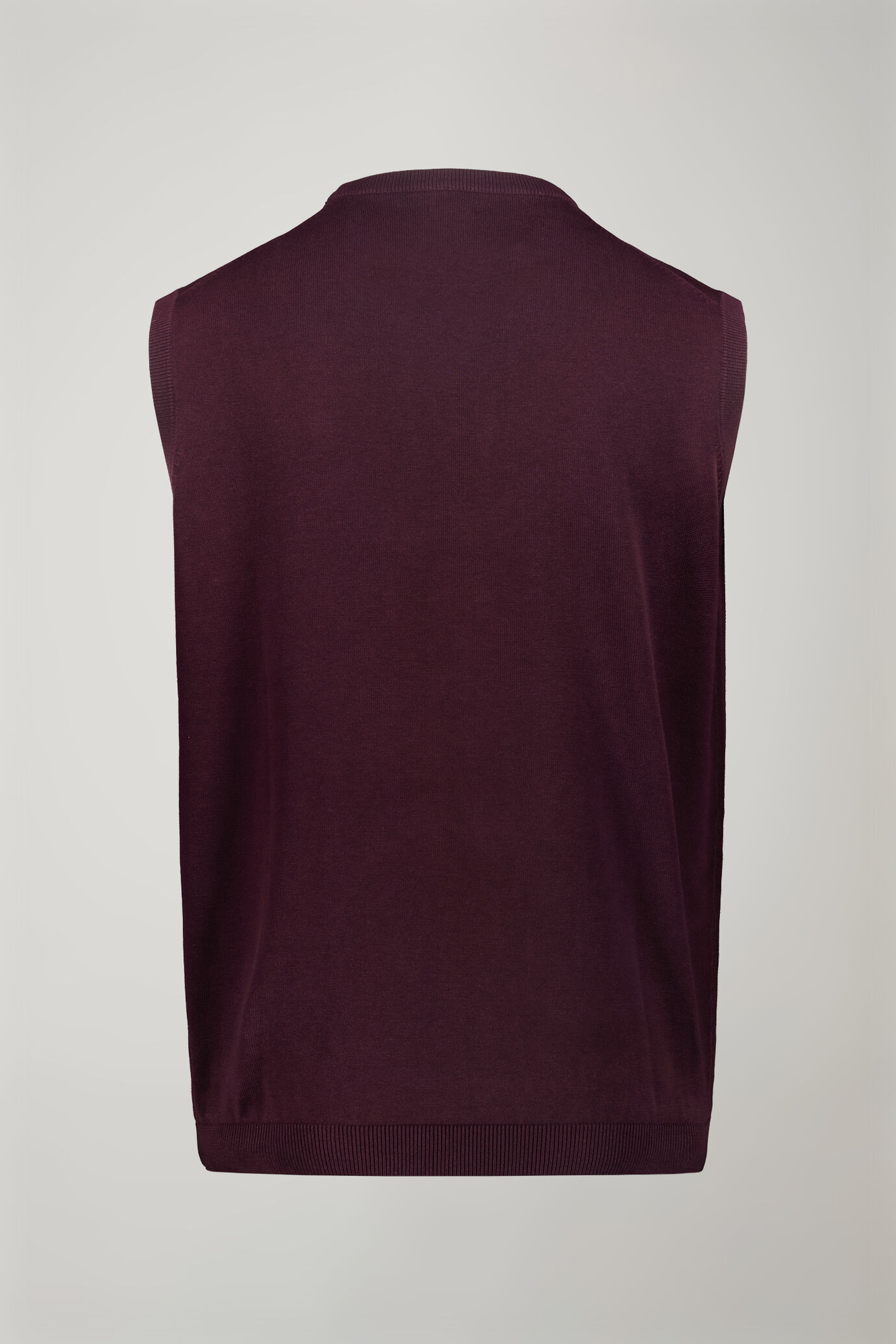 Gilet homme col rond 100 % coton coupe régulière image number 5