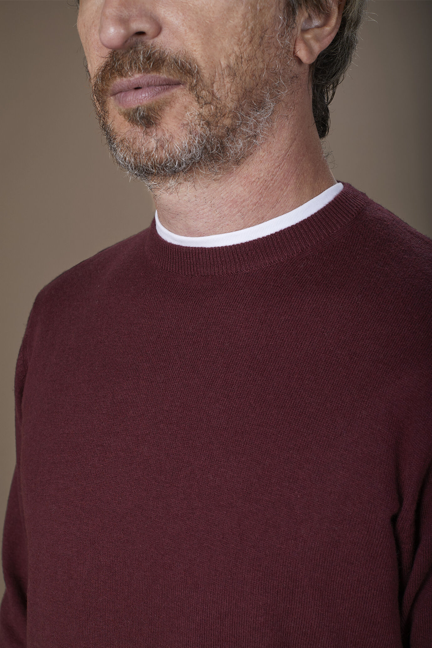 Men's regular fit crew neck jumper in wool and cotton image number 2