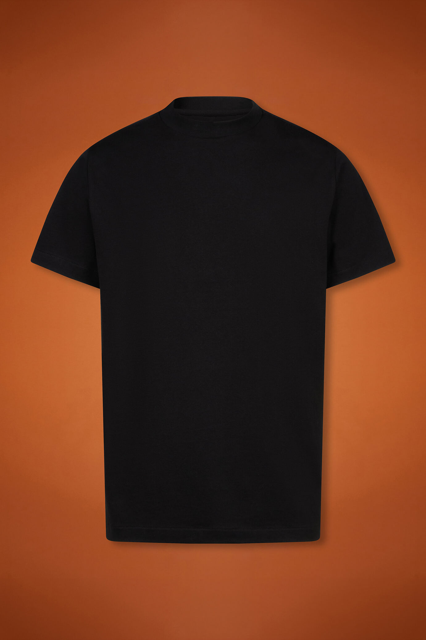 Men's 100% cotton high neck T-shirt with short sleeves in a regular fit image number 5