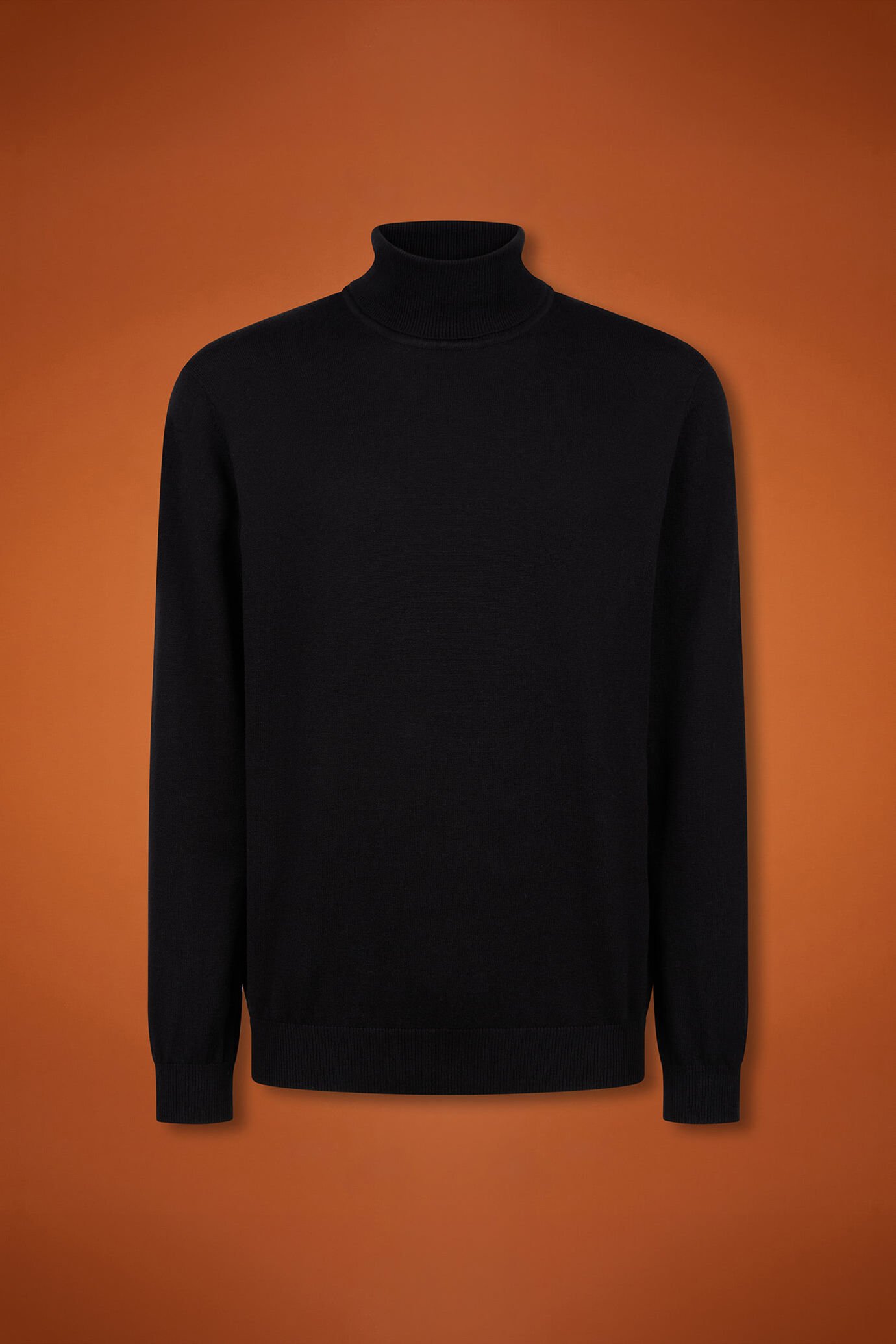 Pull homme à col montant, en laine et coton, coupe classique image number 4