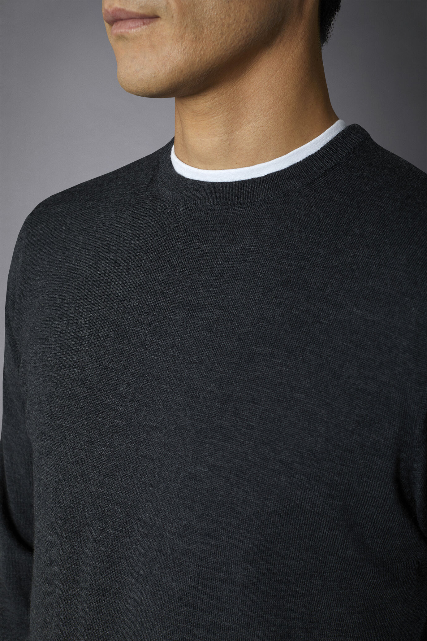 Men's roundneck sweater in 100% extra-fine merino wool lanerossi regular fit image number 2