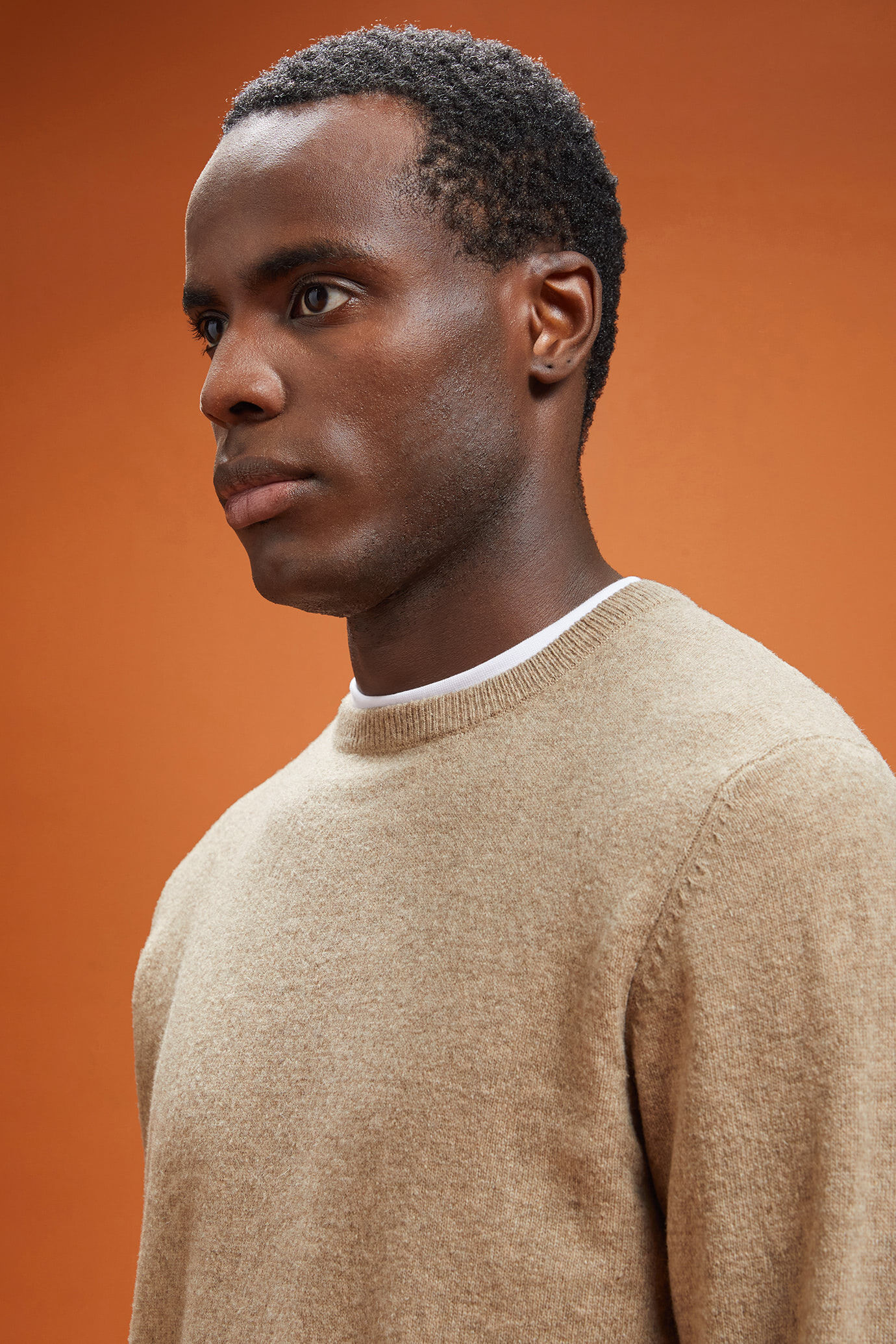 Herren-Pullover aus Lammwolle in normaler Passform image number 3