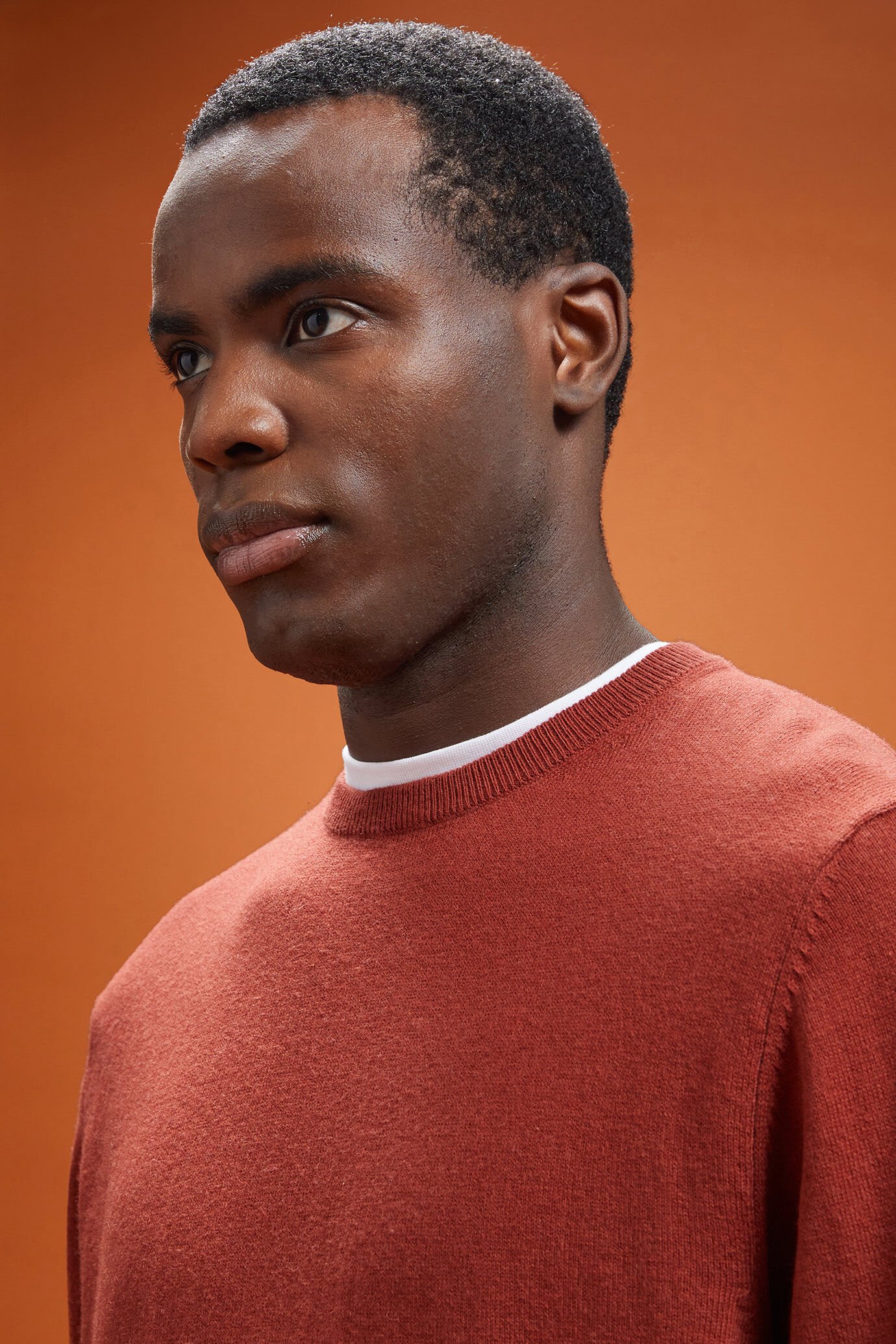 Pull homme à col rond, en laine et coton, coupe classique image number 3