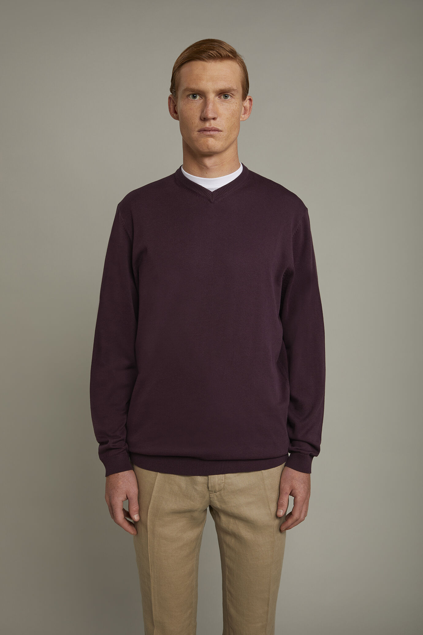 Herren-Pullover mit V-Ausschnitt aus 100 % Baumwolle in normaler Passform image number 2