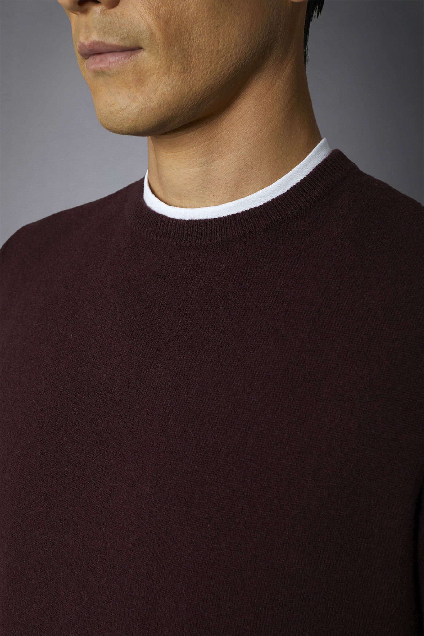 Men's 100% cashmere regular fit roundneck sweater image number 2