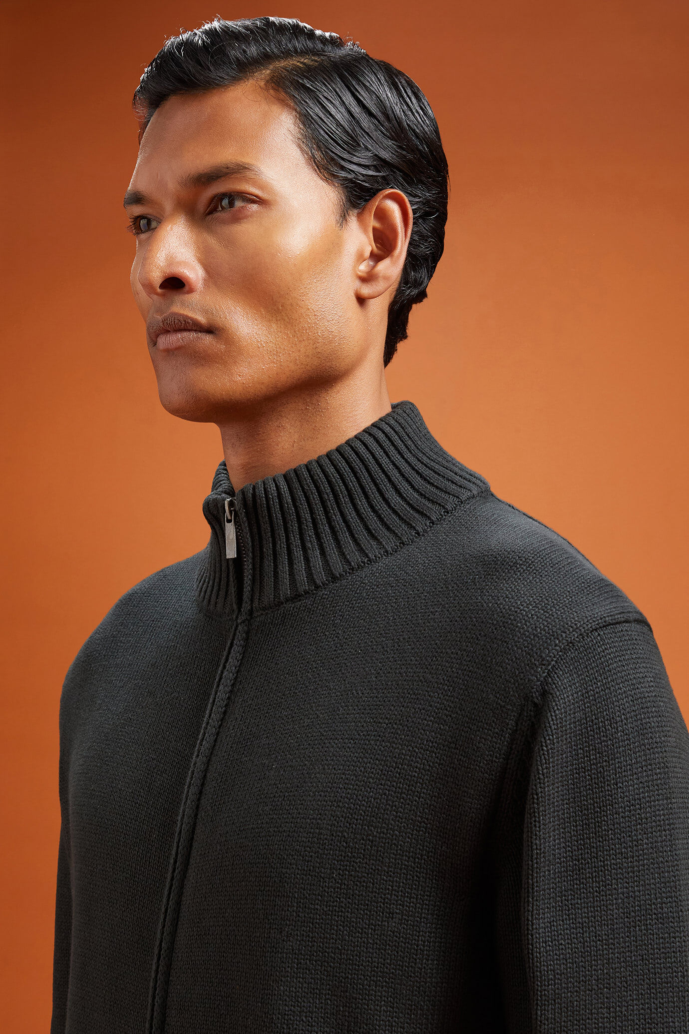 Cardigan uomo con zip a collo alto 100% cotone regular fit image number 2