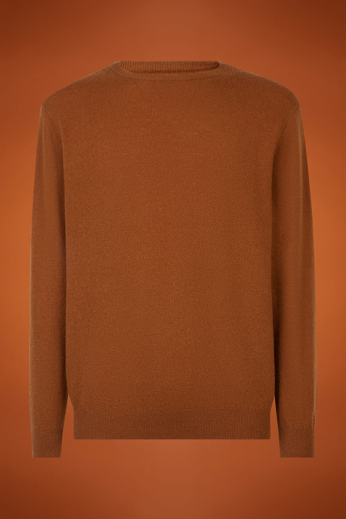 Herren-Pullover aus Lammwolle in normaler Passform image number 4