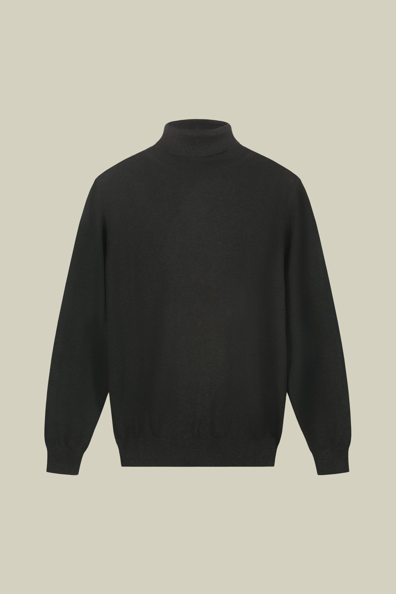 Maglia uomo dolcevita in misto lana e cotone regular fit image number 4