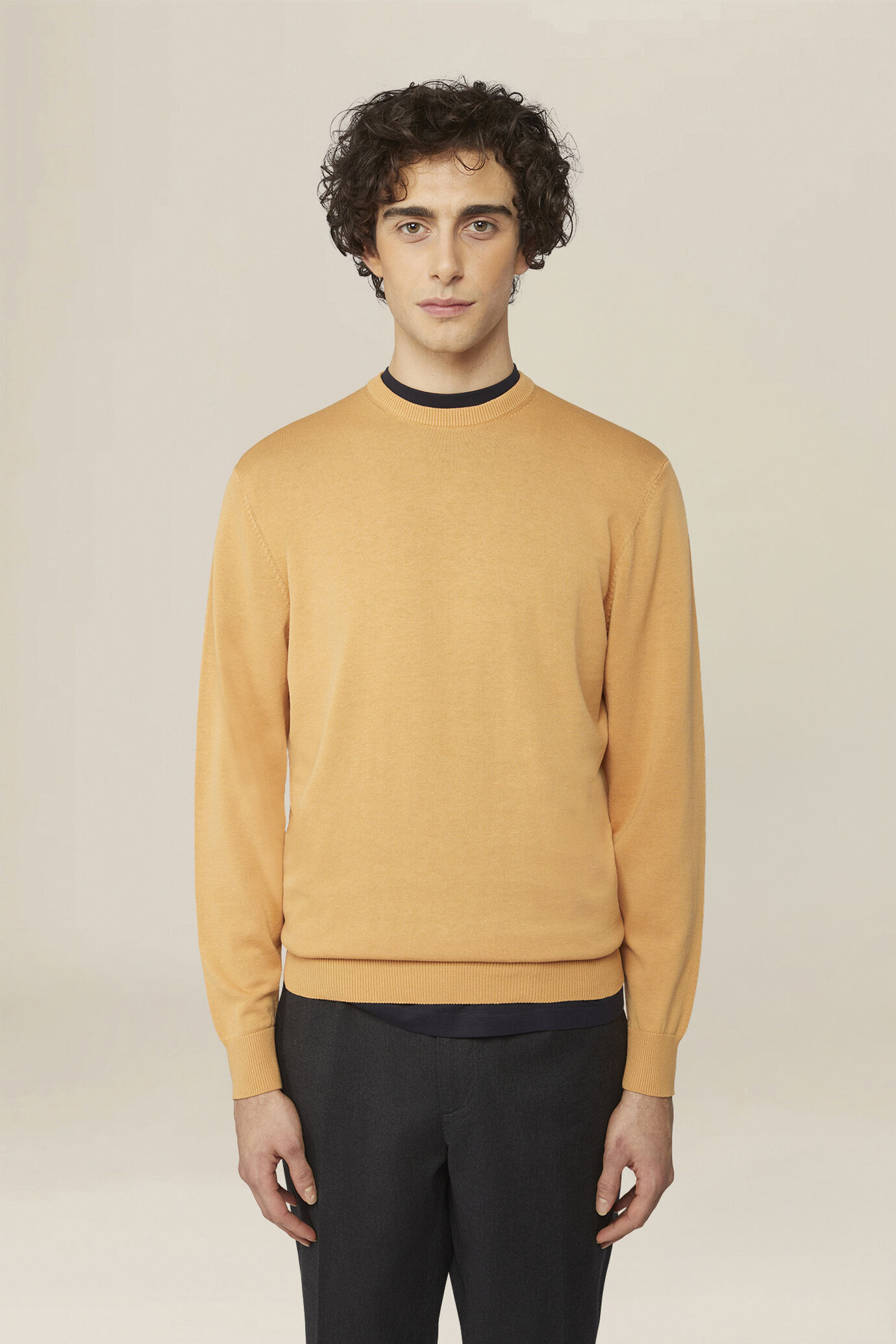 Men's crew neck jumper in 100% cotton image number 0