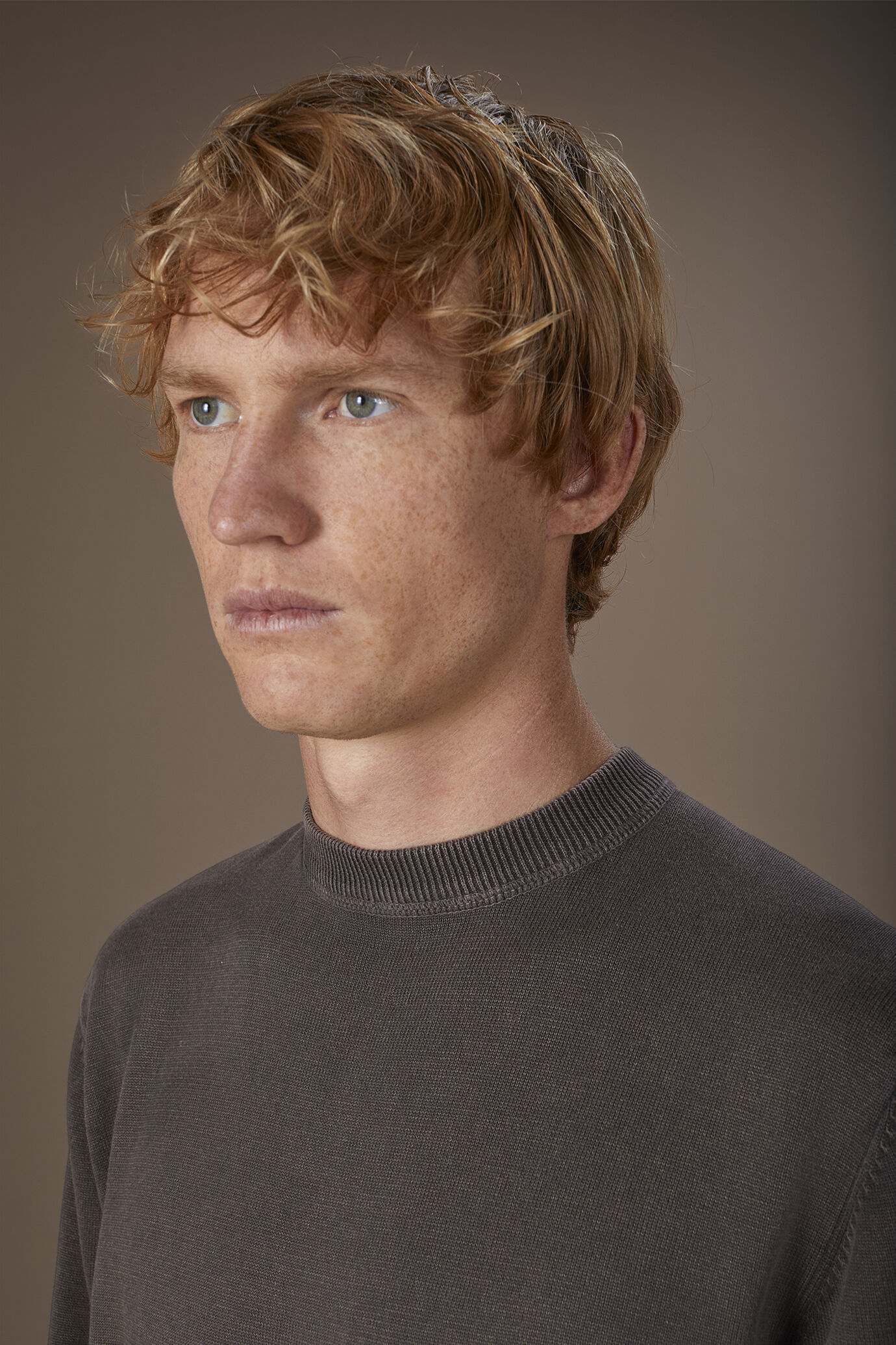 Herren-Pullover mit 100% Baumwolle in normaler Passform image number 2