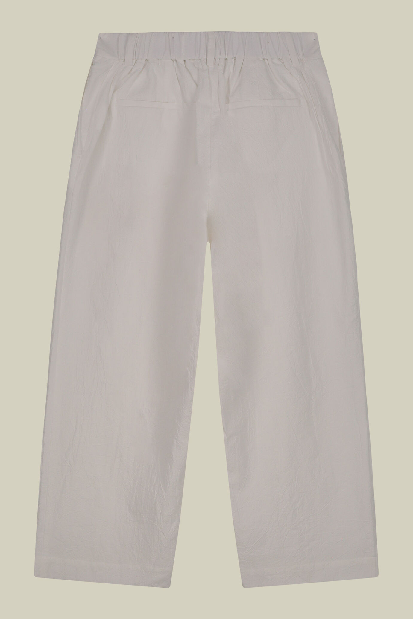 Pantalone donna con pince 100% cotone image number 5