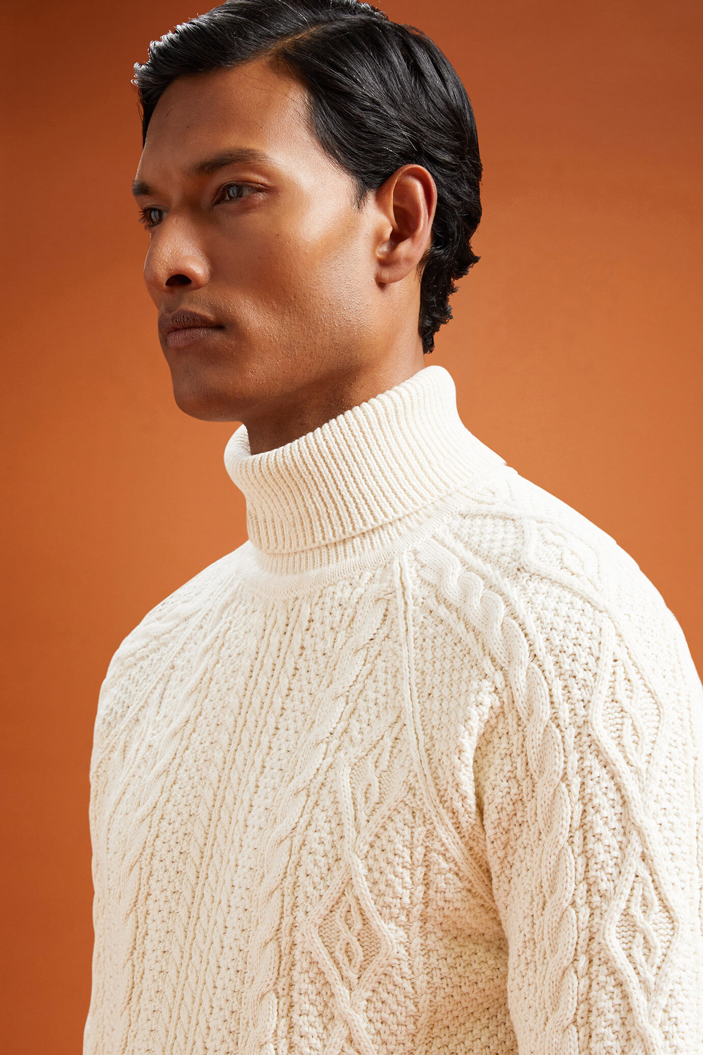 Maglia uomo collo alto 100% cotone lavorazione intrecciata regular fit image number 3