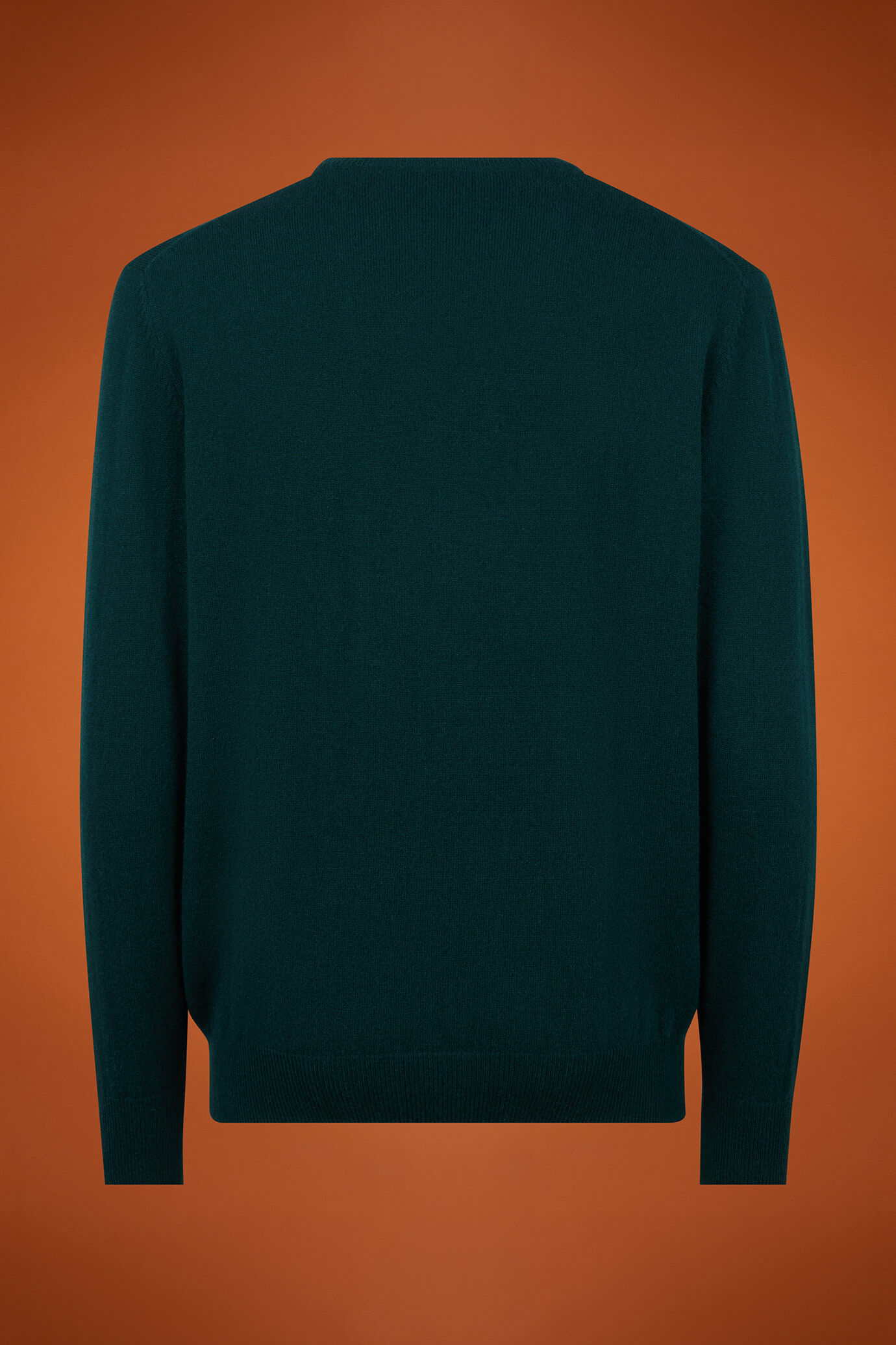 Maglia uomo girocollo 100% cachemire regular fit image number 5
