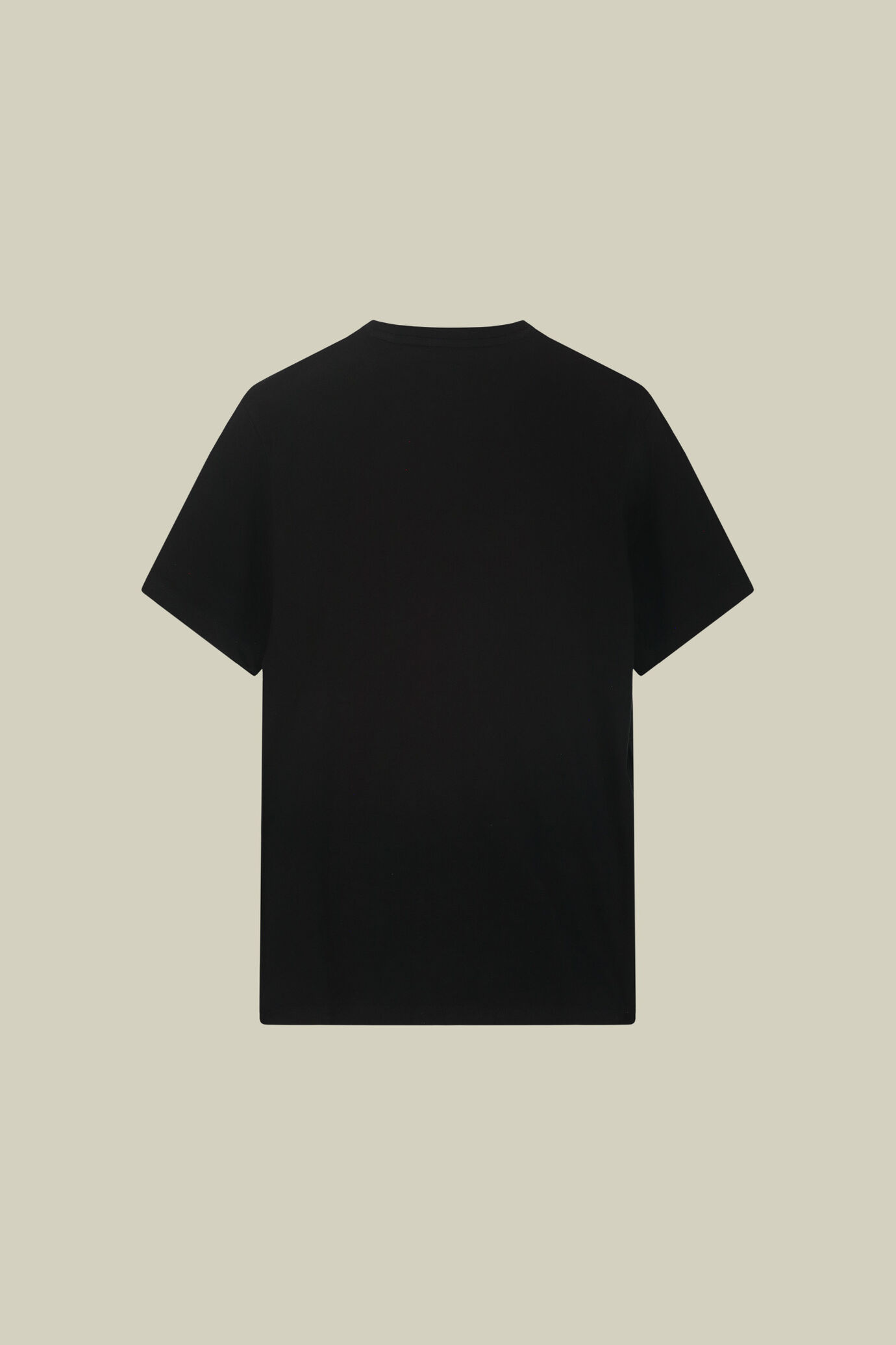 T-shirt uomo in 100% cotone regular fit image number 1