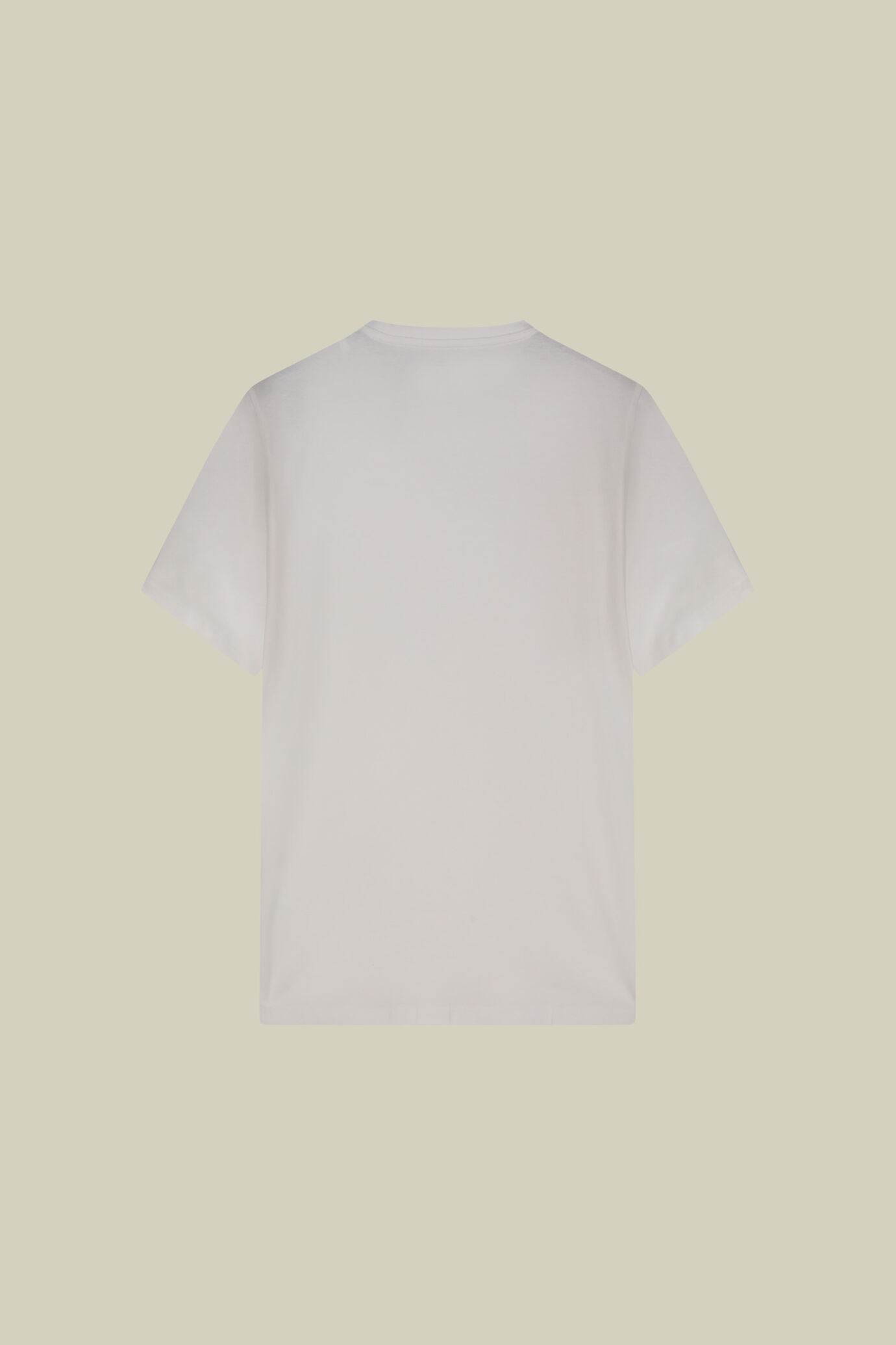 T-shirt uomo in 100% cotone regular fit image number 1