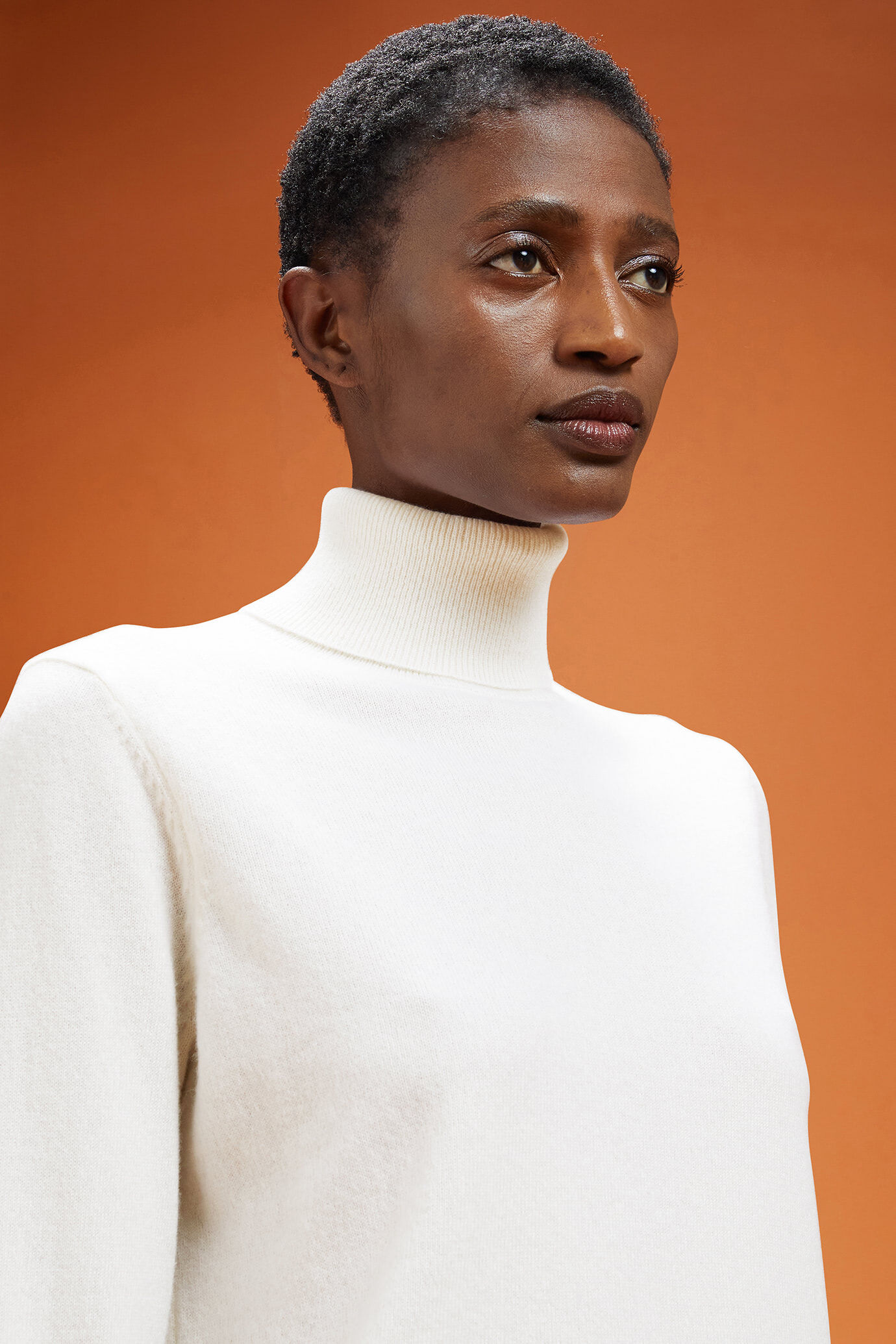 Hoch geschlossenre Damen-Pullover aus 100 % Kaschmir in normaler Passform image number 3