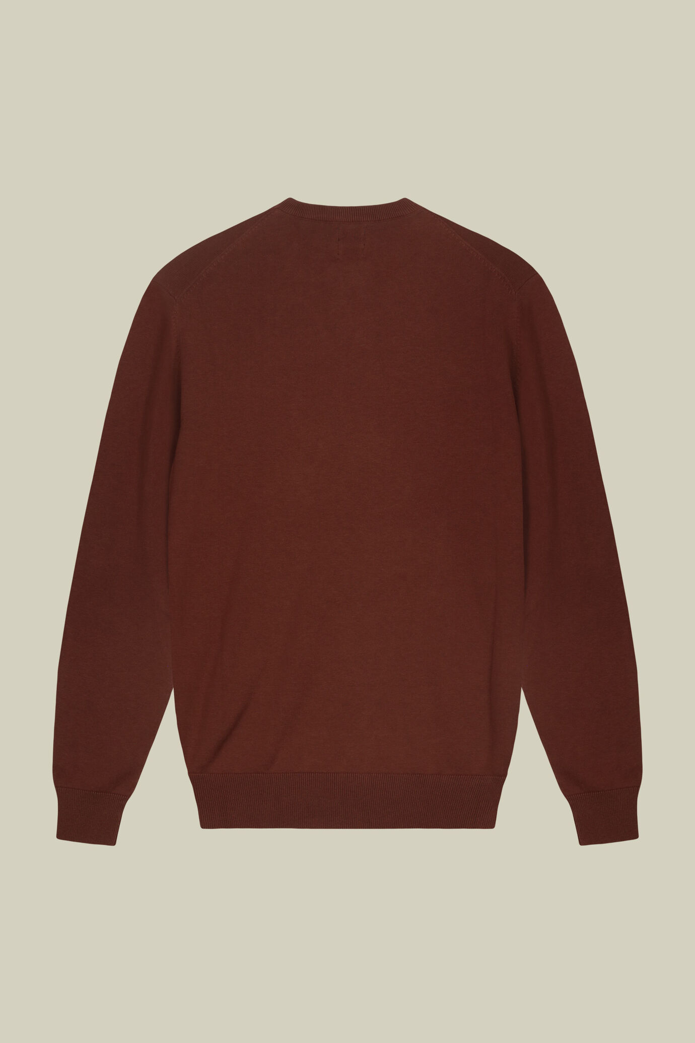 Men's crew neck jumper in 100% cotton image number 5