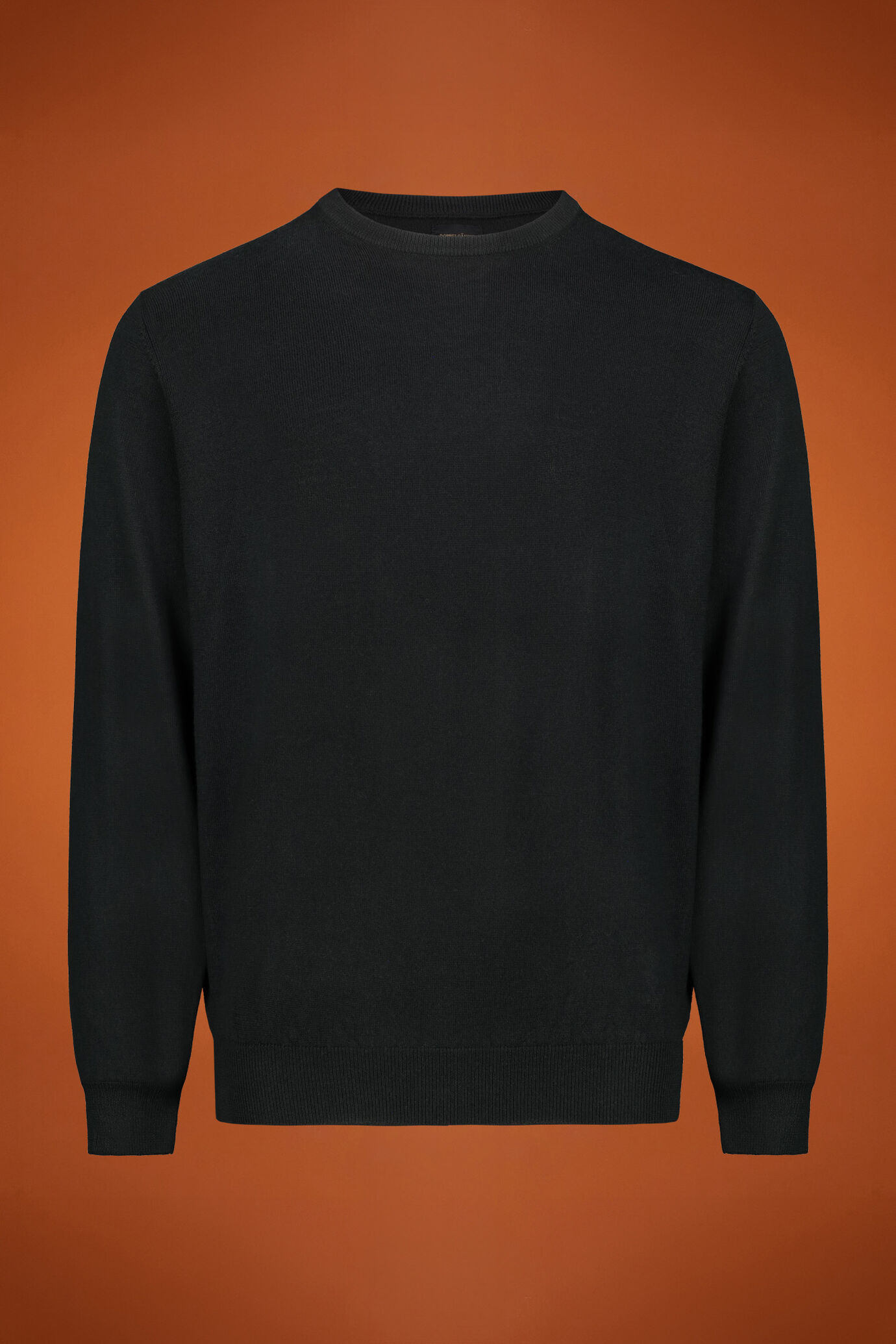 Pull homme à col rond, 100% laine mérinos extrafine, coupe classique image number 0