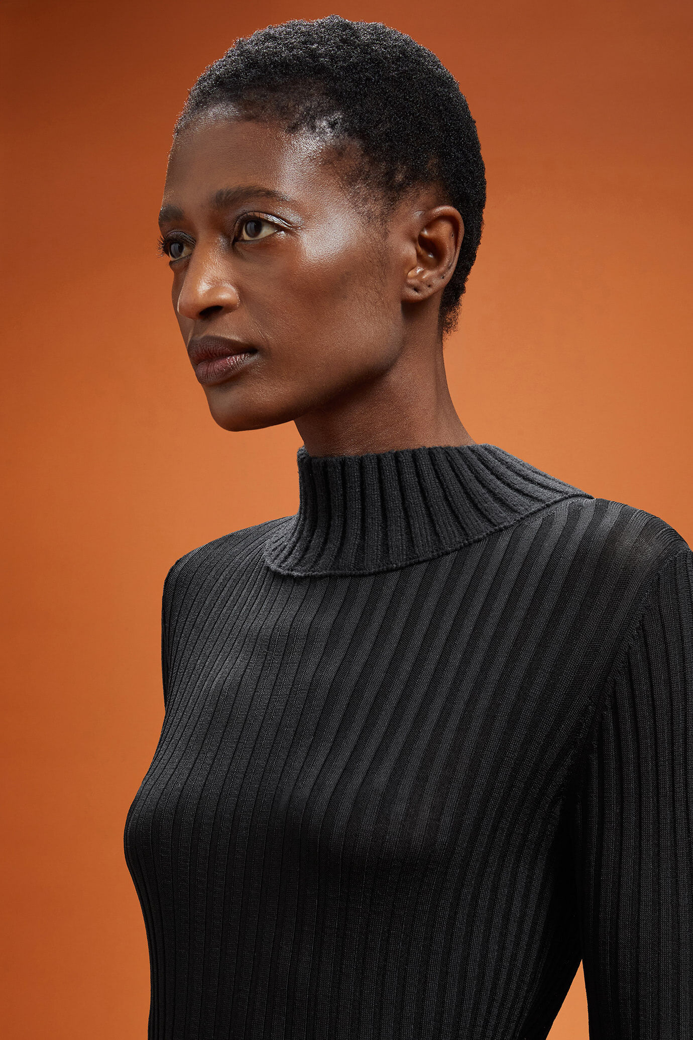 Pull à col roulé pour femme, coupe classique image number 3