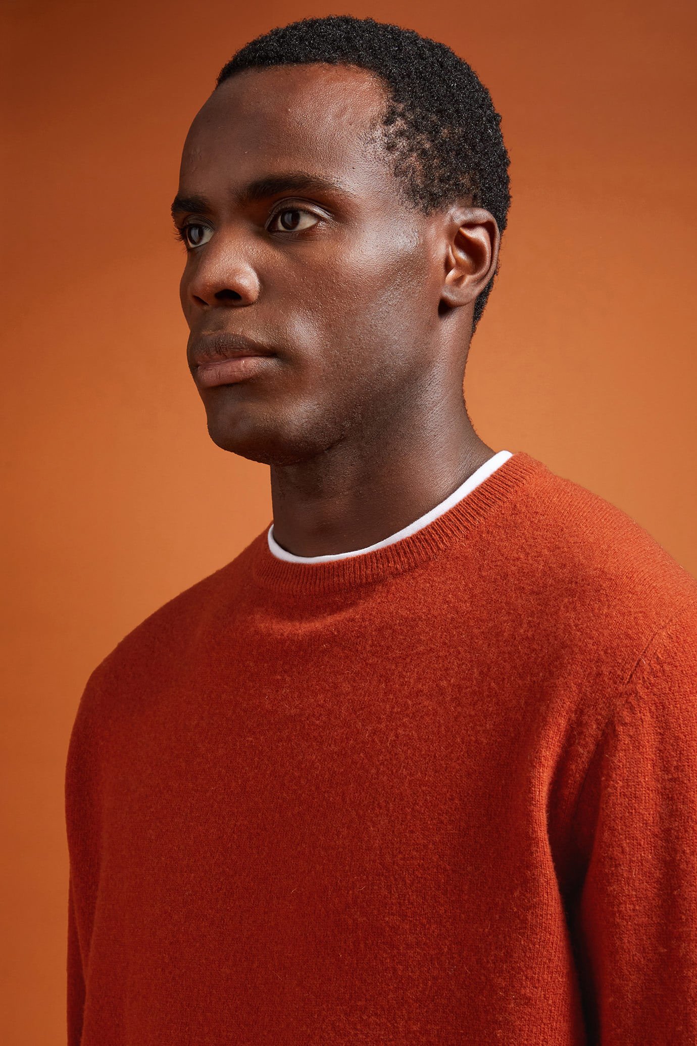 Maglia uomo girocollo misto lana lambswool regular fit image number 3