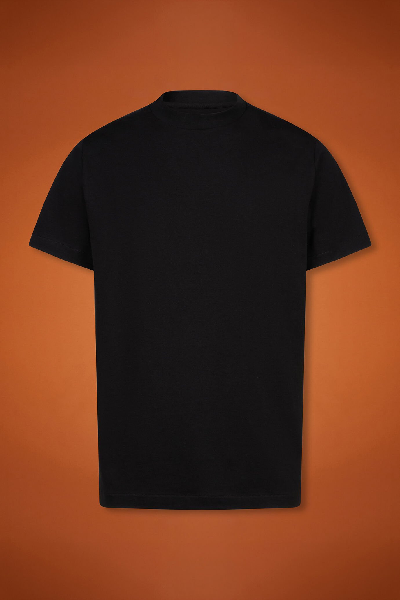 Men's 100% cotton high neck T-shirt with short sleeves in a regular fit image number 5