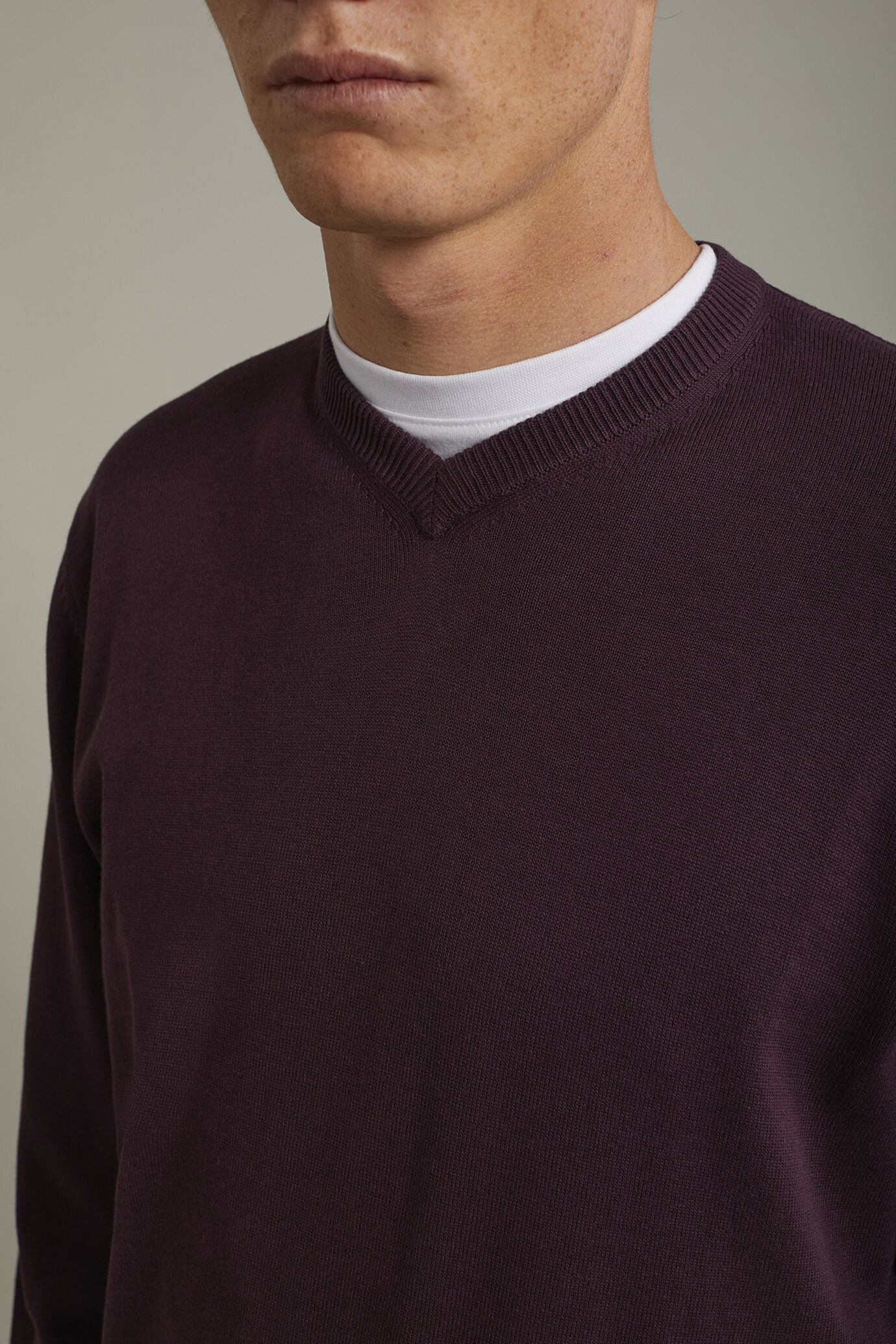 Maglia uomo scollo a v 100% cotone regular fit image number 3