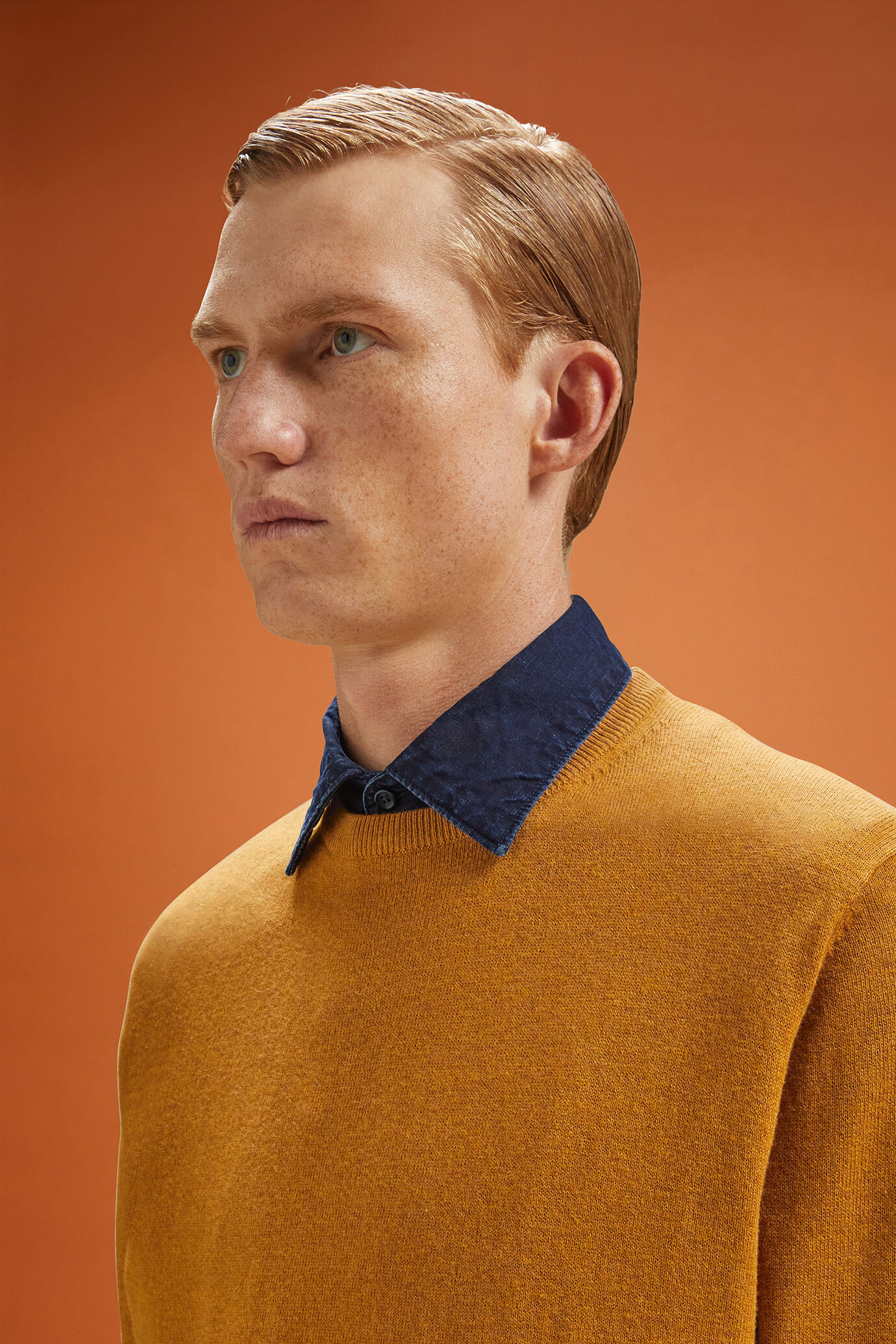 Maglia uomo girocollo lana e cotone regular fit image number 3