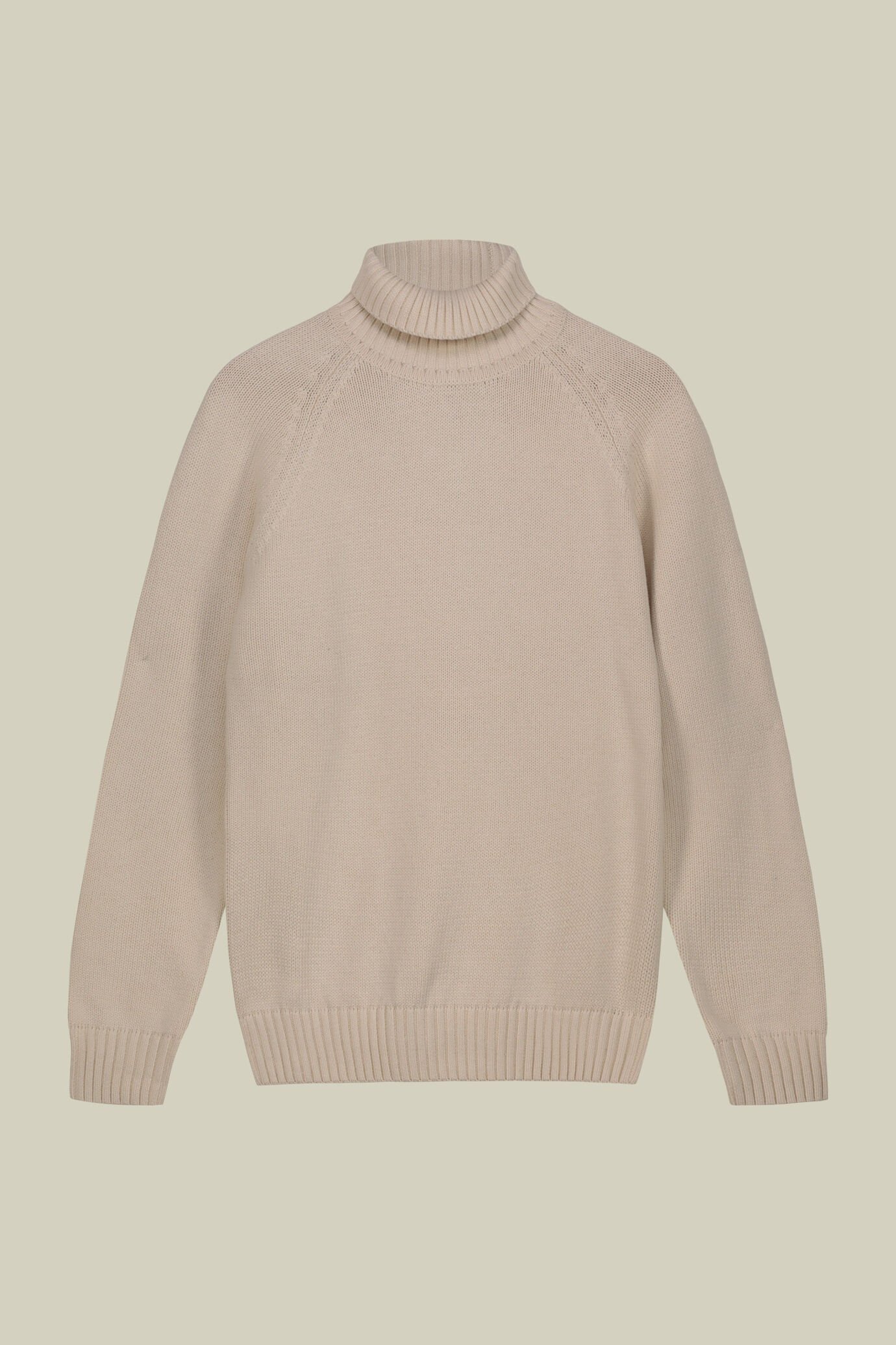 Pull à col roulé pour homme 100 % coton coupe regular fit