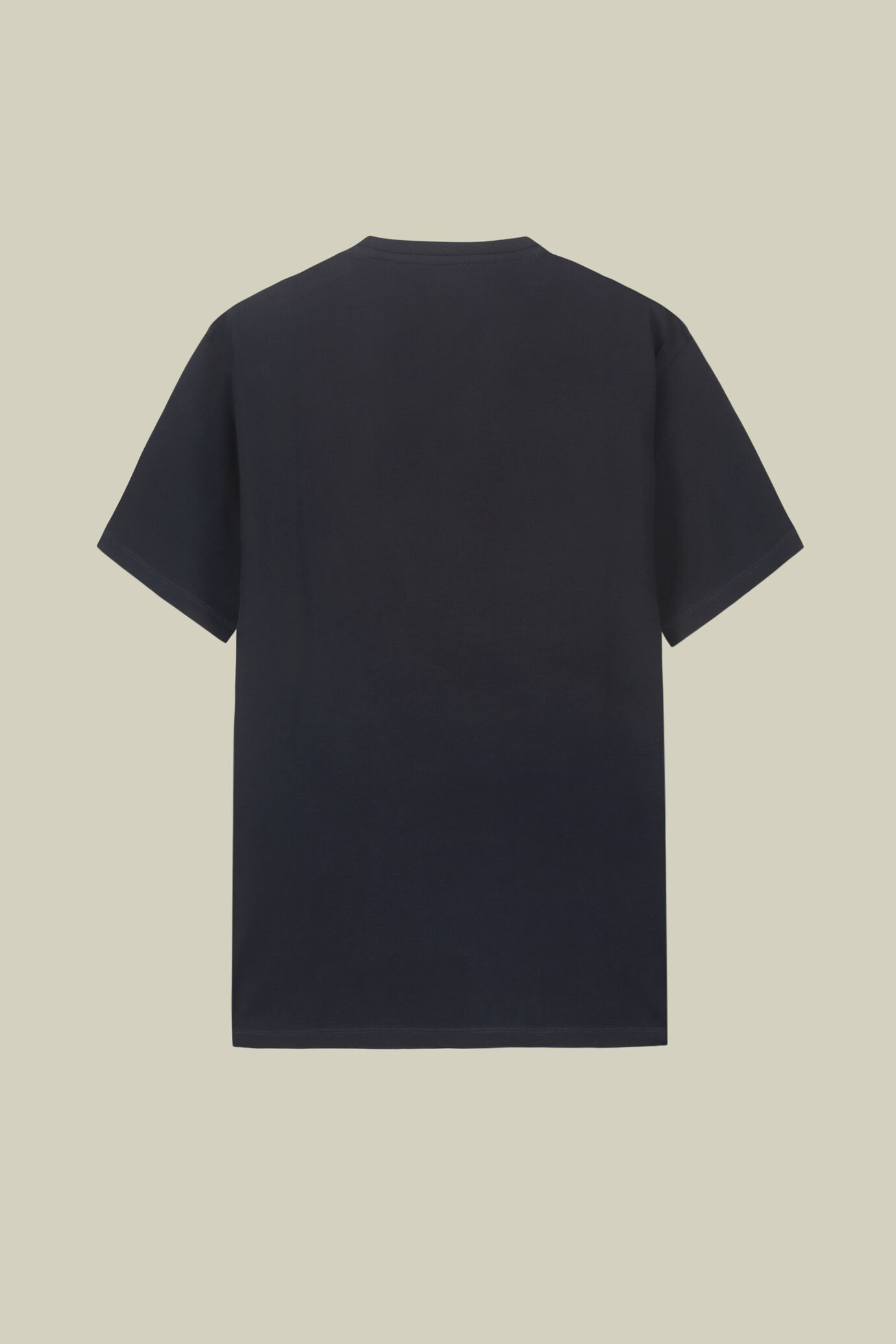 Men's short-sleeved T-shirt in 100% cotton jersey image number 5