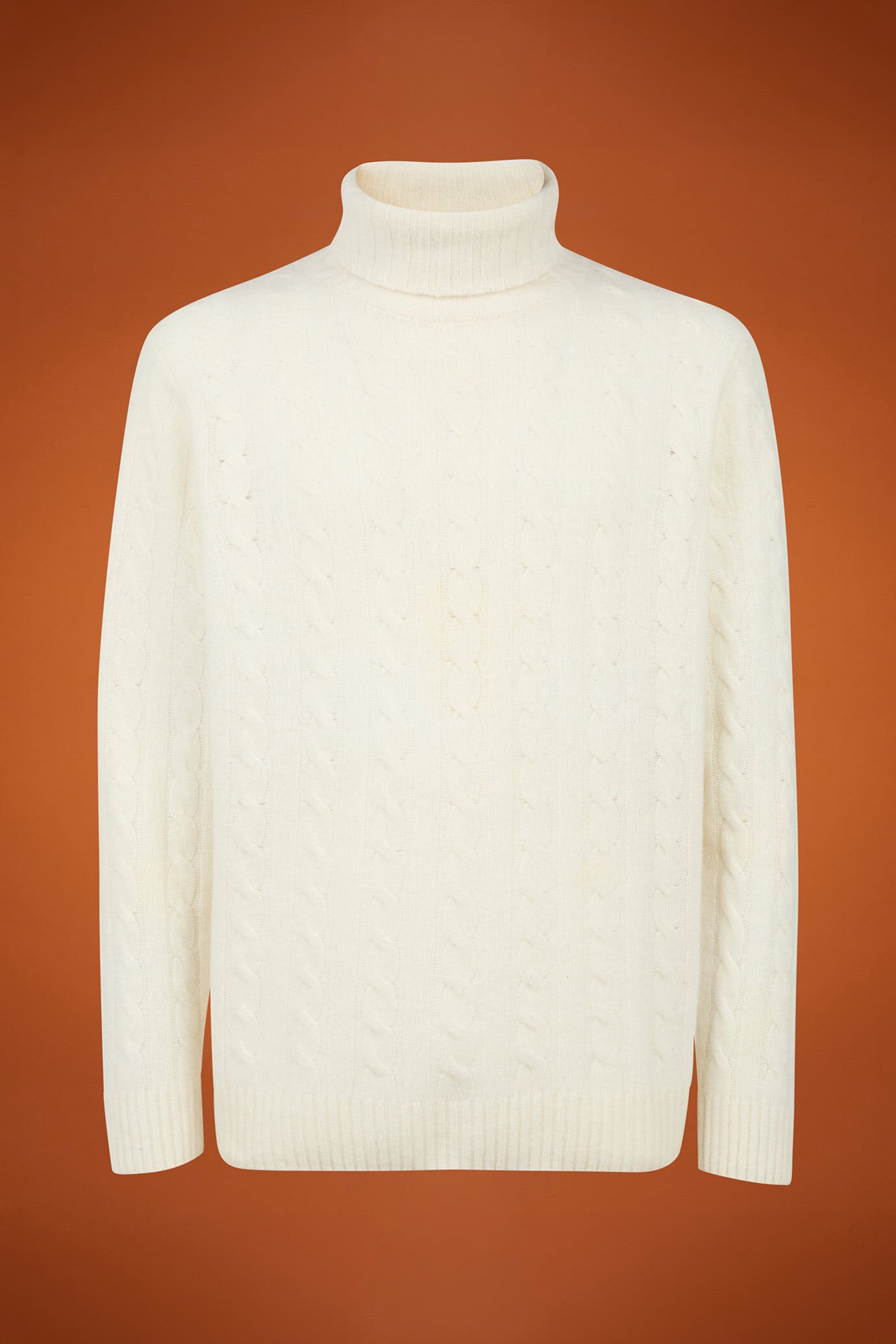 Pull homme à col roulé en laine d'agneau, coupe classique image number 4
