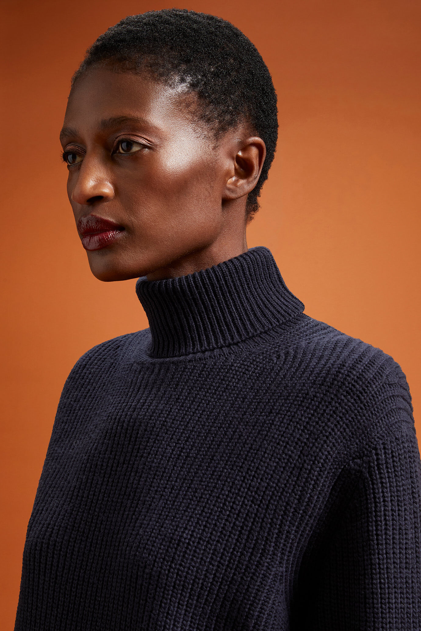 Women's regular fit ribbed knit jumper with a high neck image number 2