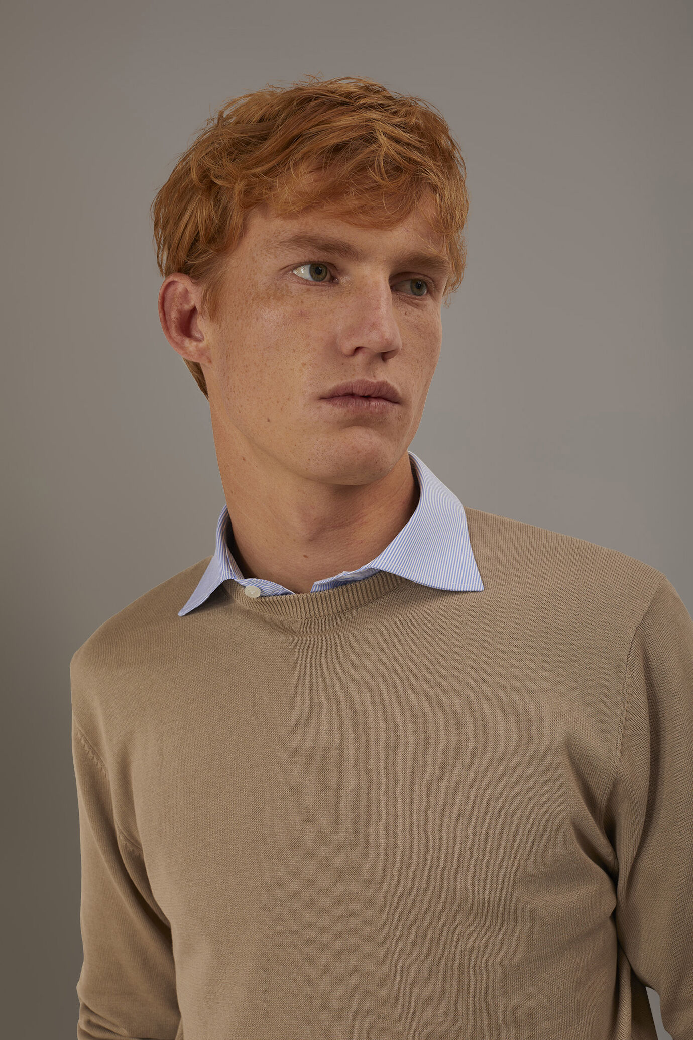 Maglia giro collo uomo 100% cotone image number 2