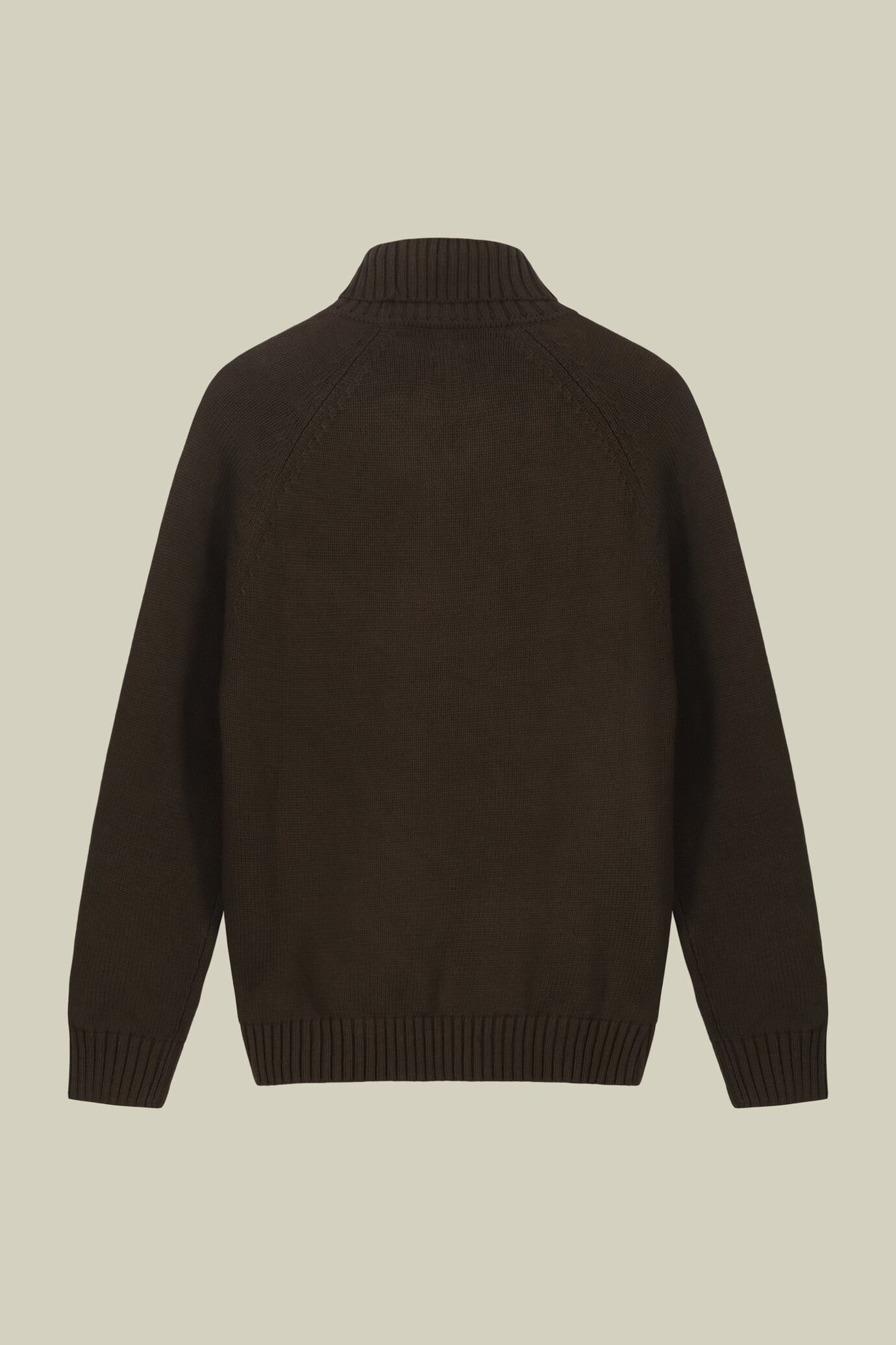 Pull à col roulé pour homme 100 % coton coupe regular fit image number 5