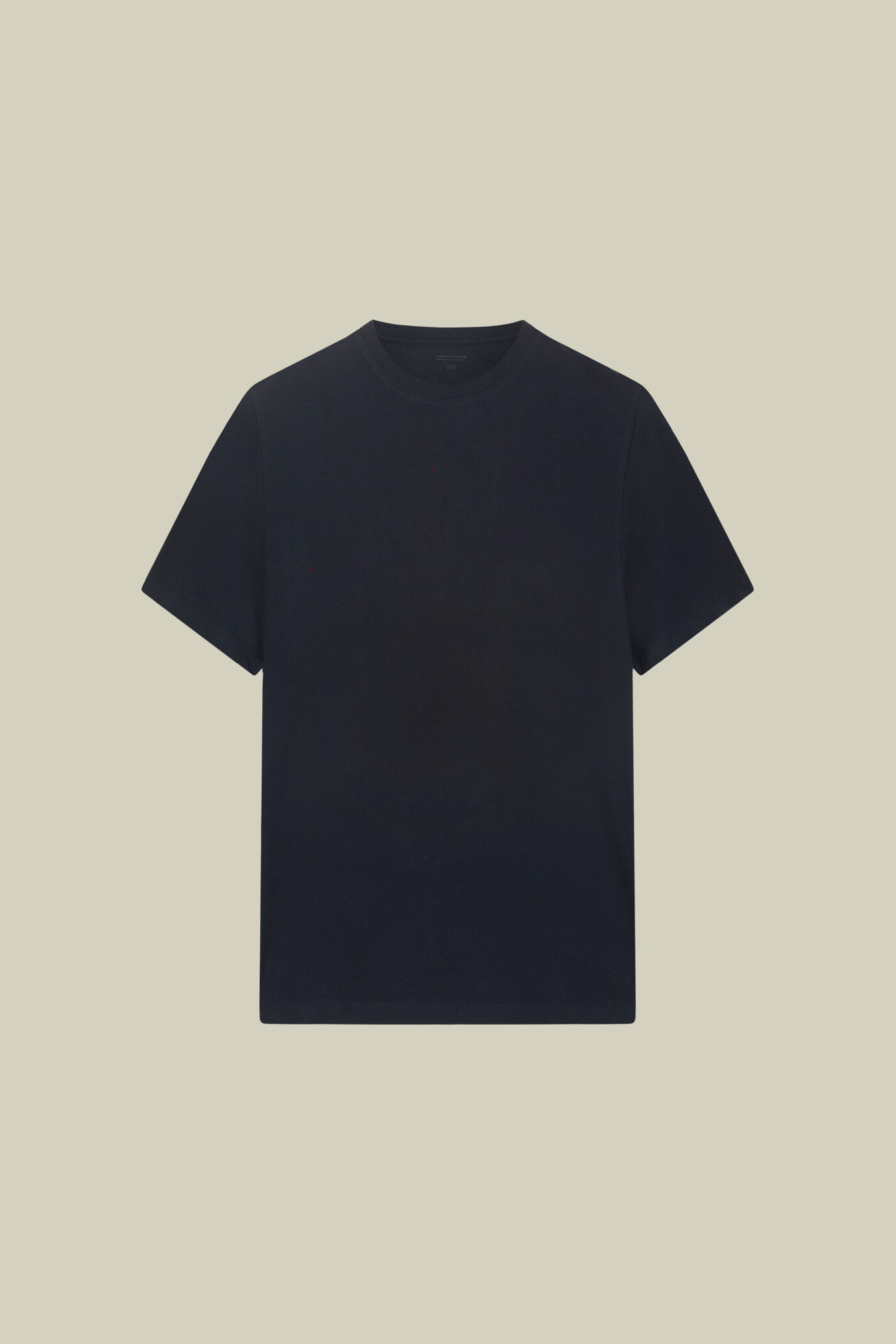 T-shirt uomo in 100% cotone regular fit image number 0