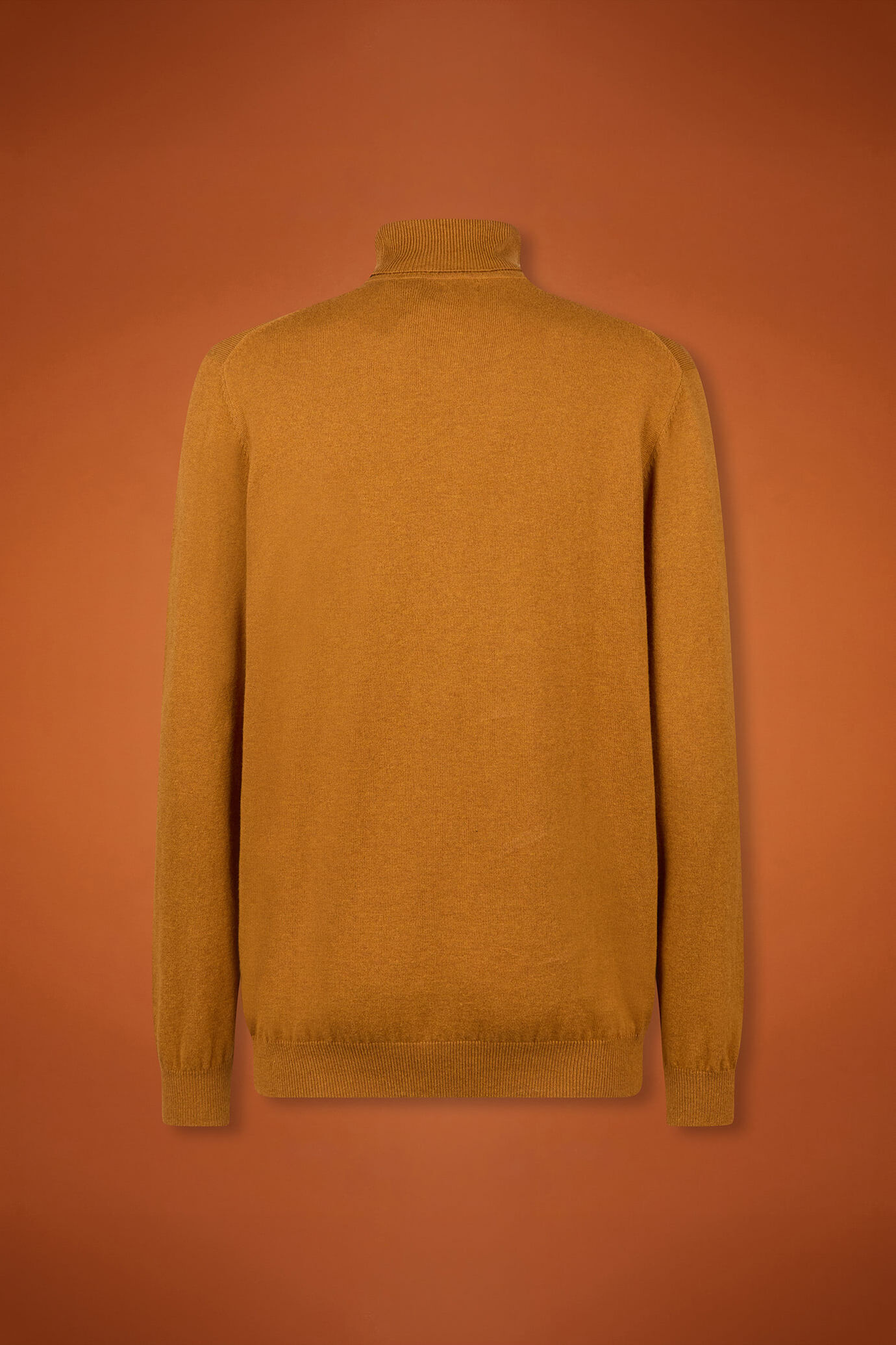Pull homme à col montant, en laine et coton, coupe classique image number 5