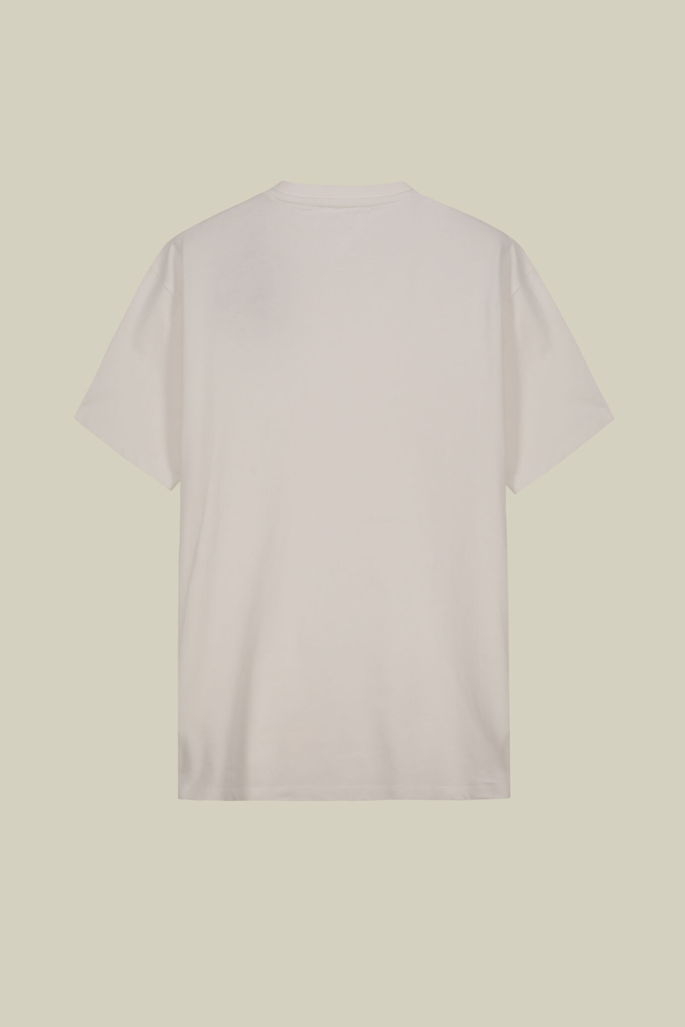 T-shirt uomo manica corta in jersey 100% cotone image number 4