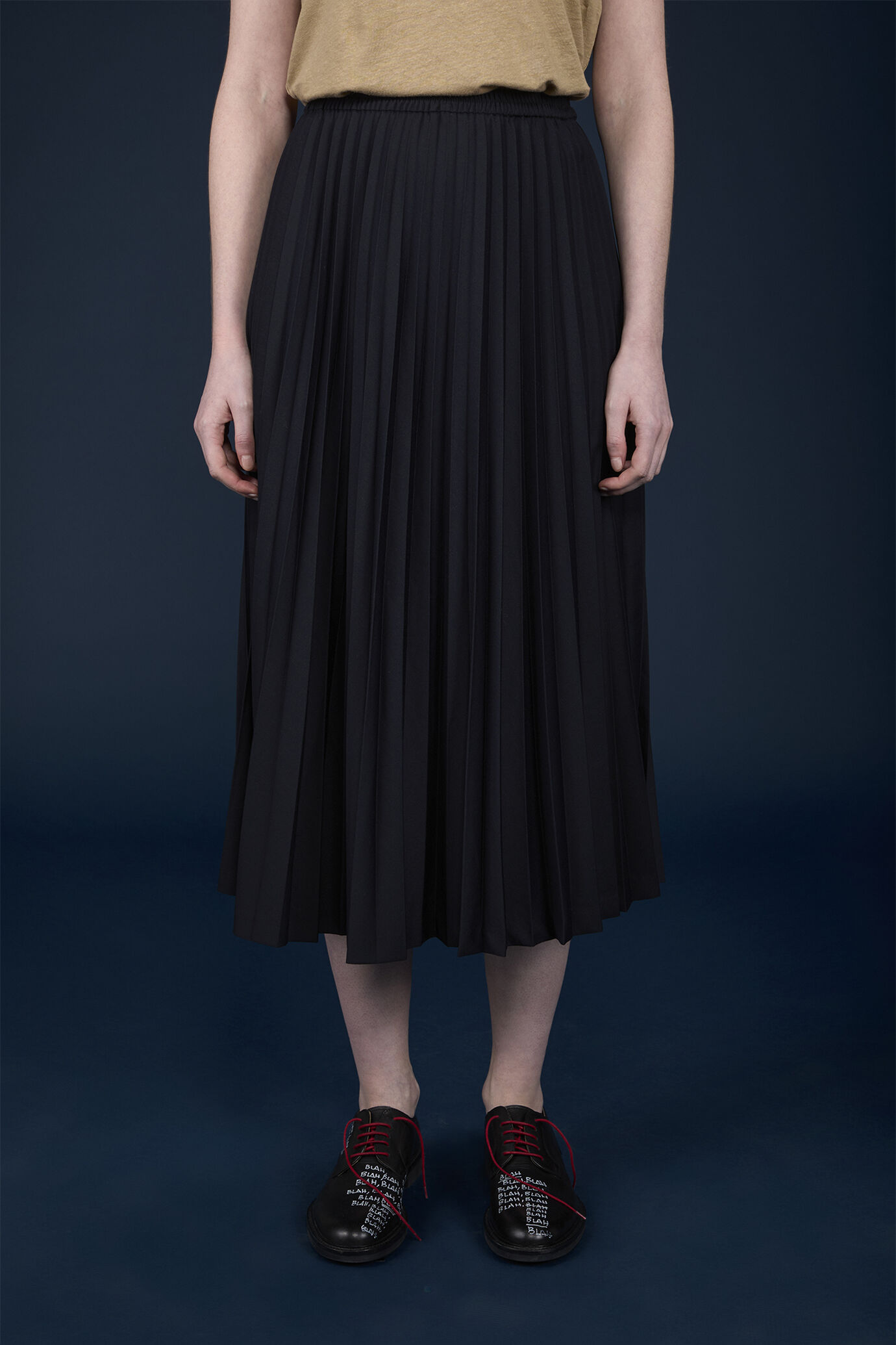 Women's regular fit plain pleated skirt with embroidery on the inside image number 1
