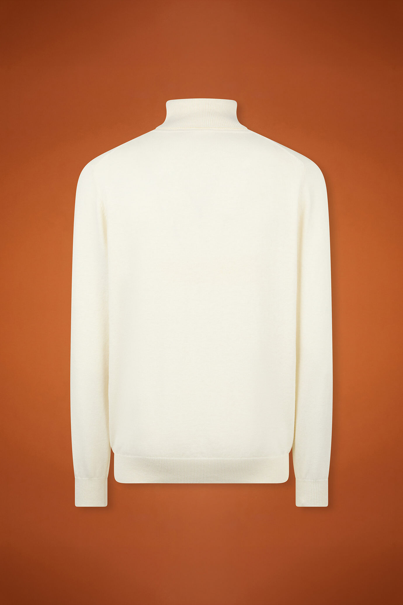 Men's regular fit turtleneck jumper in wool and cotton image number 5