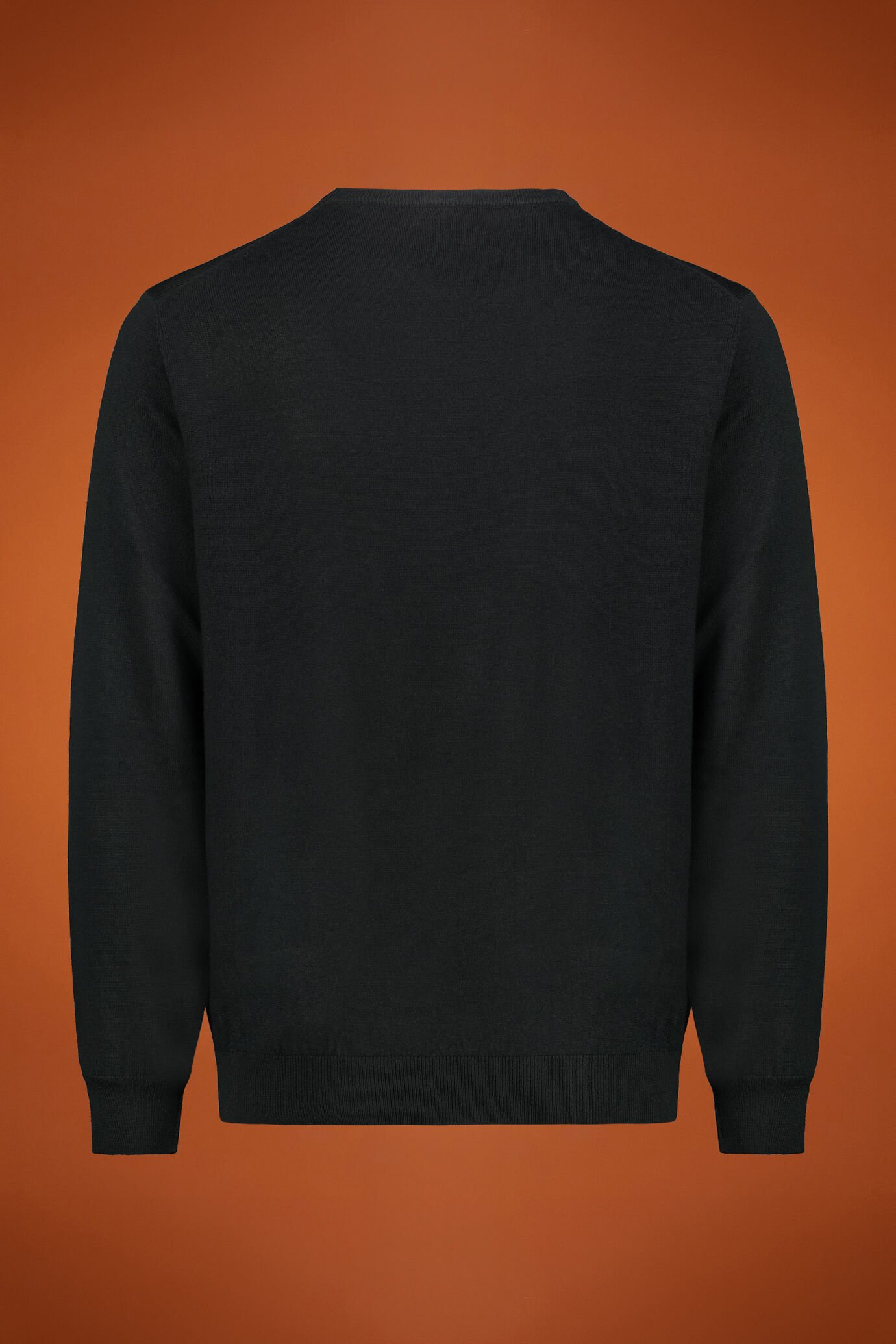 Maglia uomo girocollo 100% lana merino extrafine regular fit image number 1