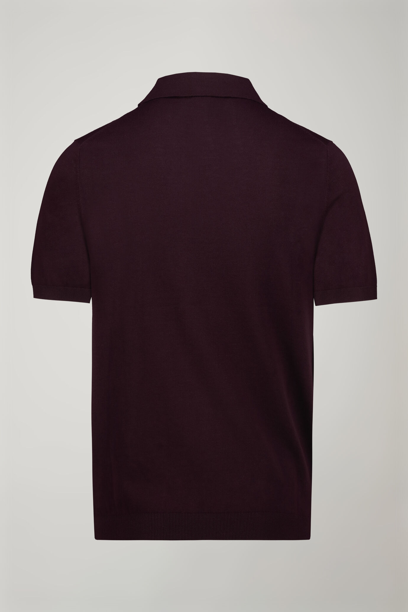 Polo in maglia uomo 100% cotone con manica corta regular fit image number 5