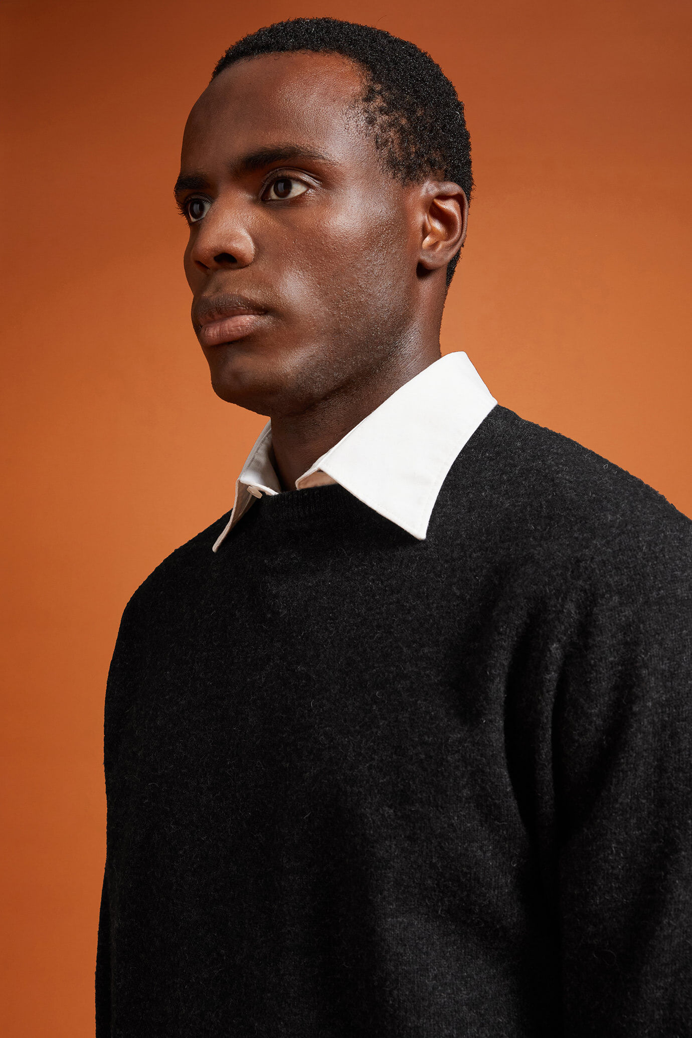 Pull homme à col rond, 100% laine mérinos extrafine, coupe classique image number 3