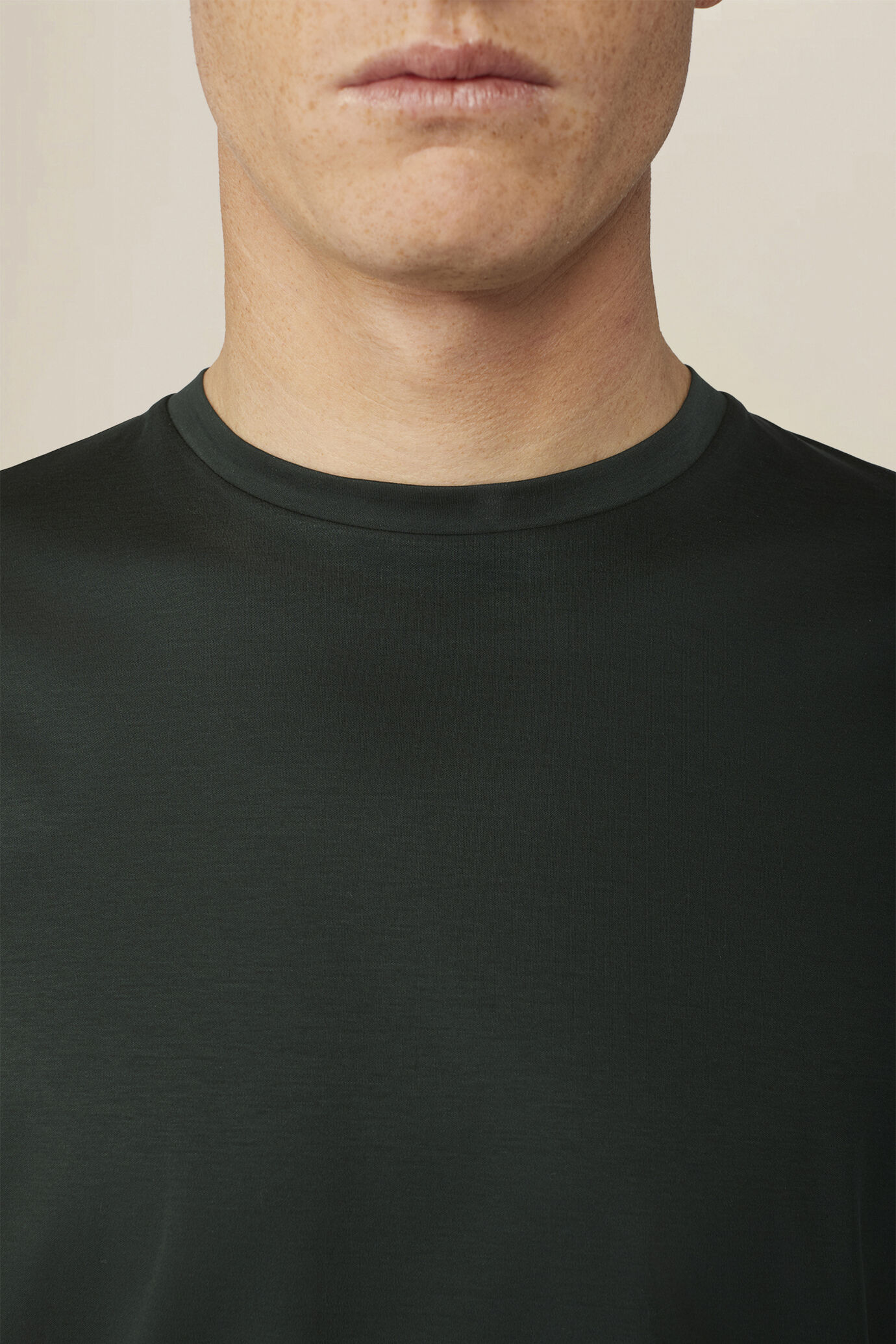 T-shirt homme 100 % coton coupe classique image number 2