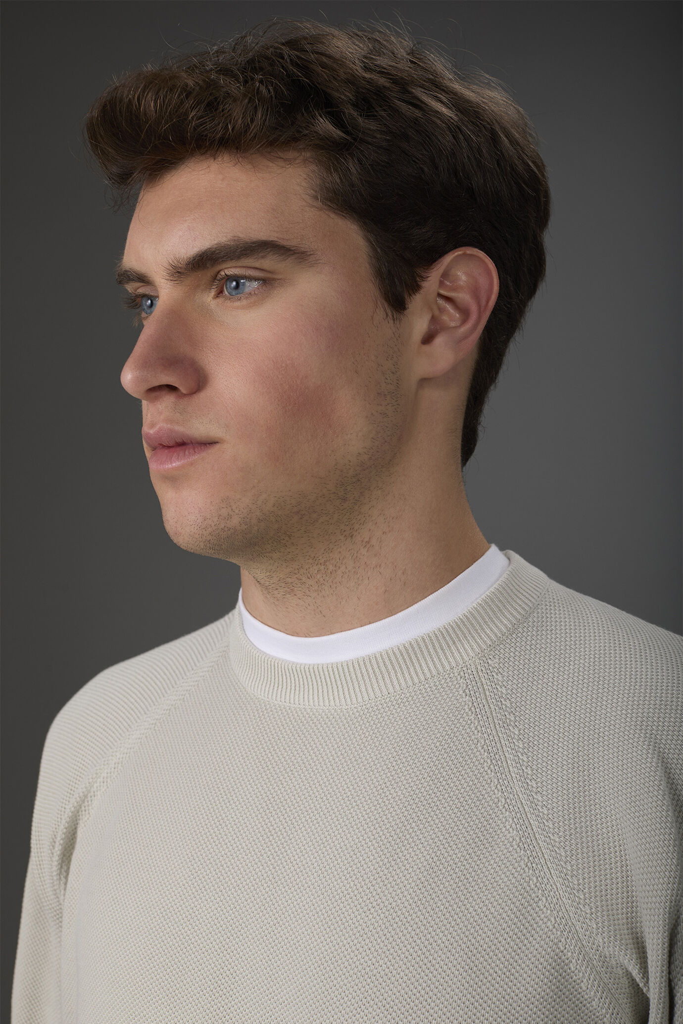 Men's crew neck pure cotton sweater with raglan sleeves image number 2