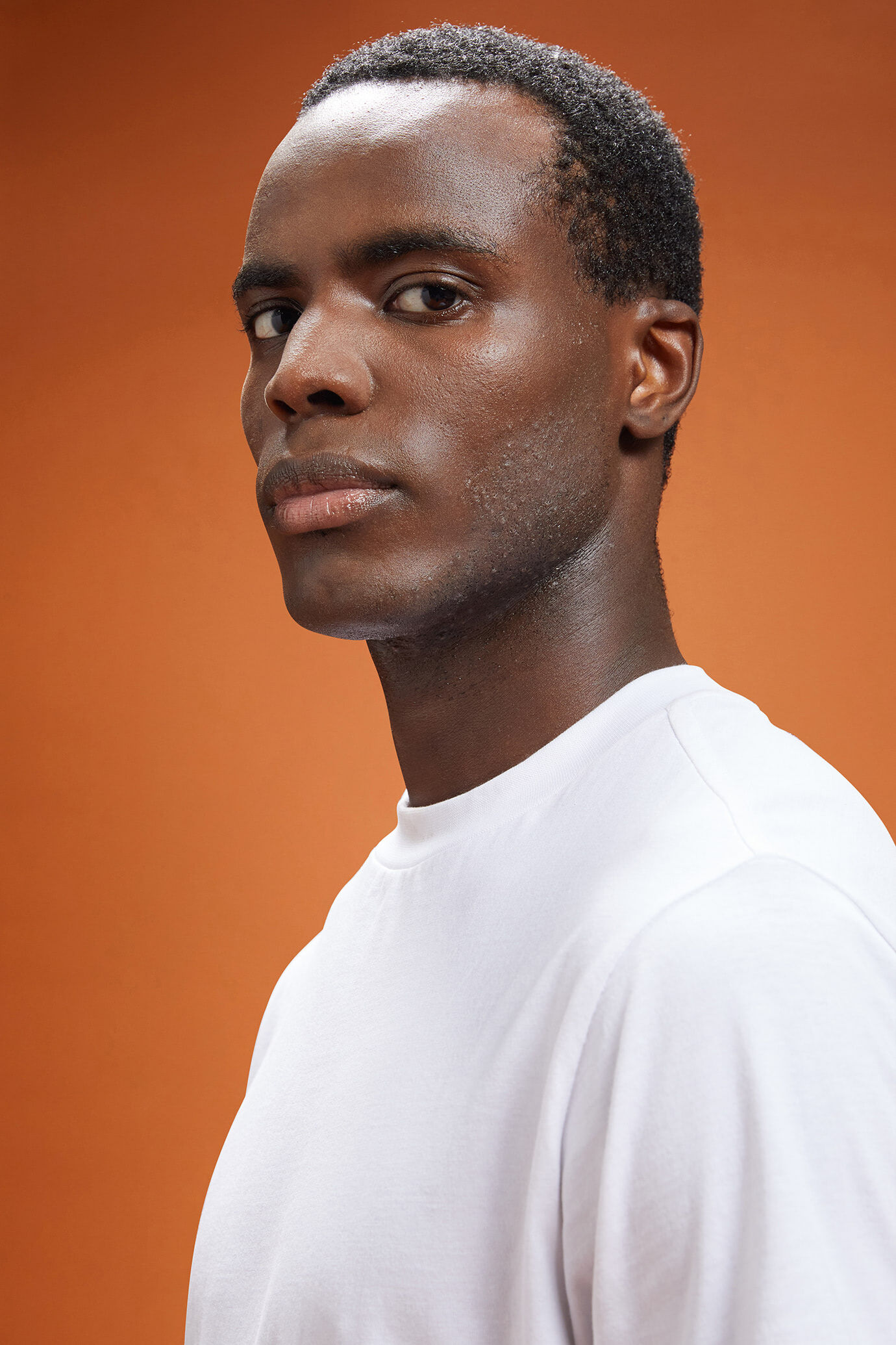 Men's 100% cotton high neck T-shirt with short sleeves in a regular fit image number 3
