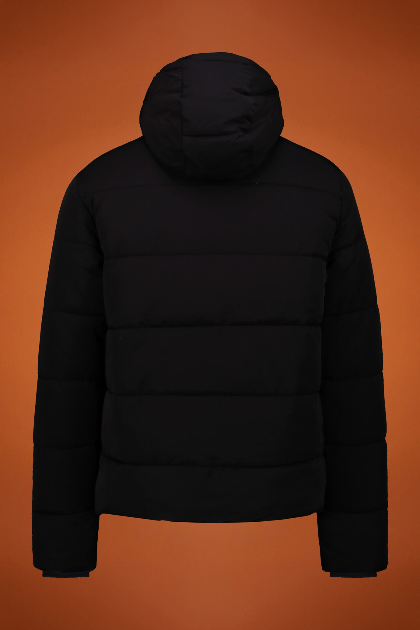 Veste matelassée avec capuche fixe image number 1