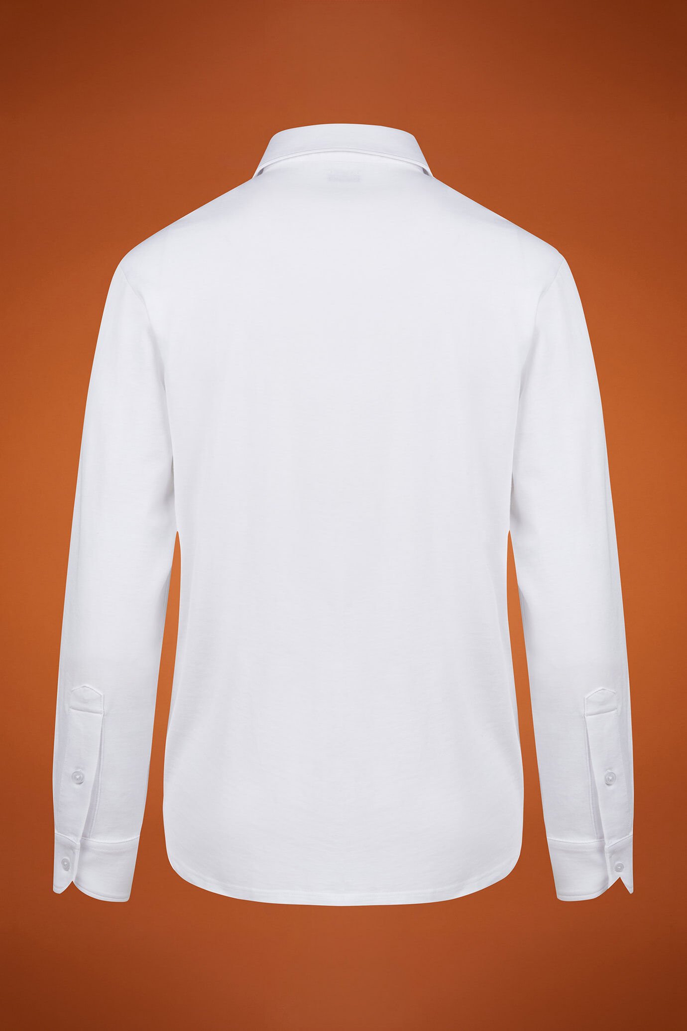 Langärmeliges Herren-Poloshirt mit klassischem Kragen aus 100 % Baumwolle in normaler Passform image number 5