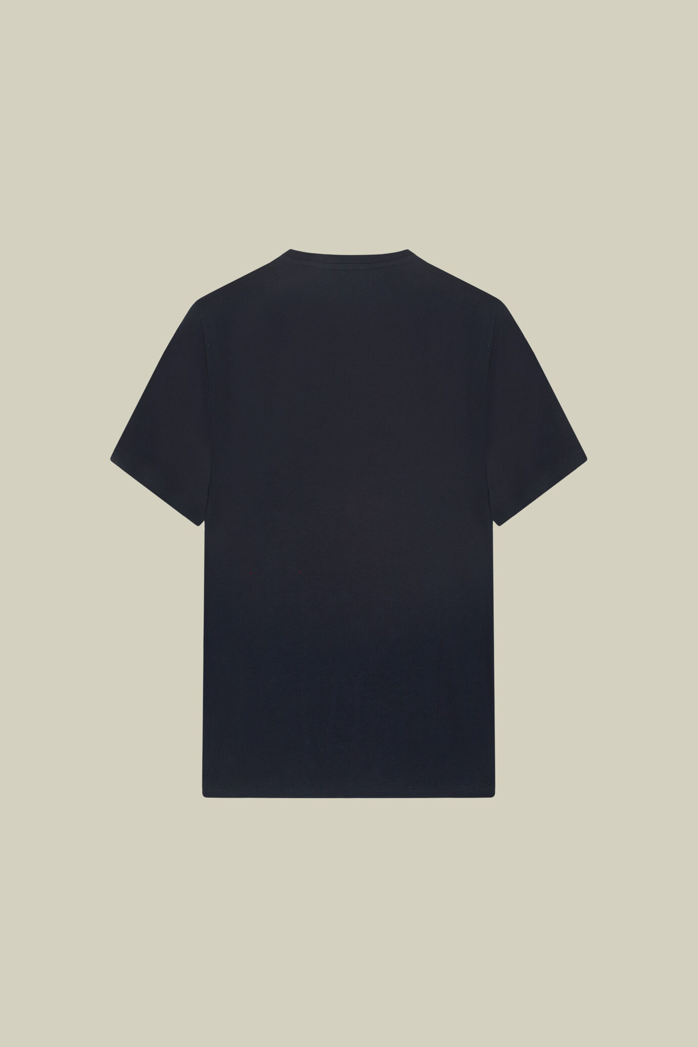 T-shirt uomo in 100% cotone regular fit image number 1